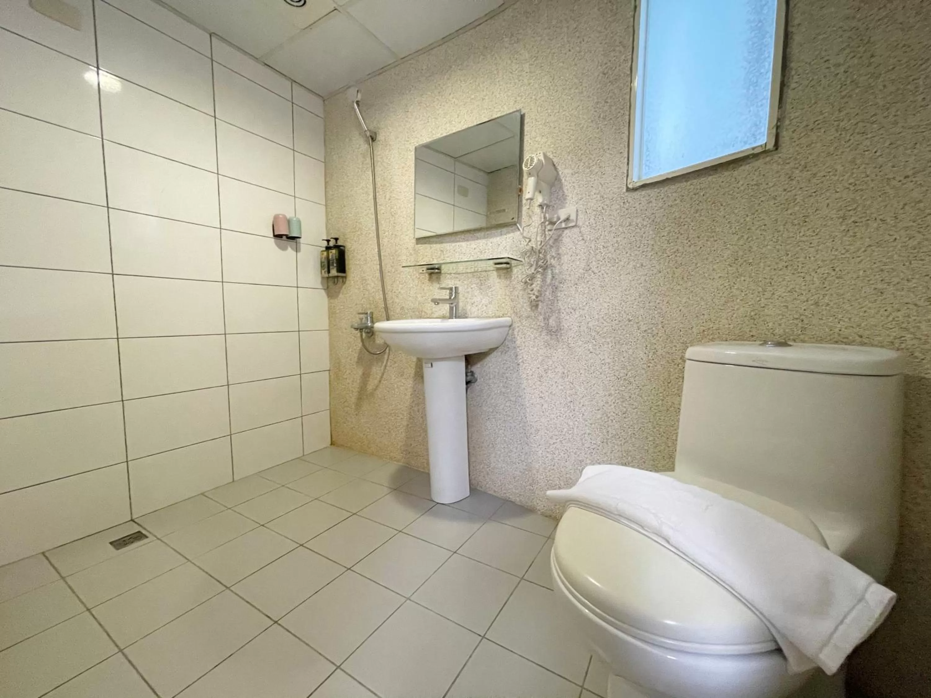 Toilet in Sharon Inn