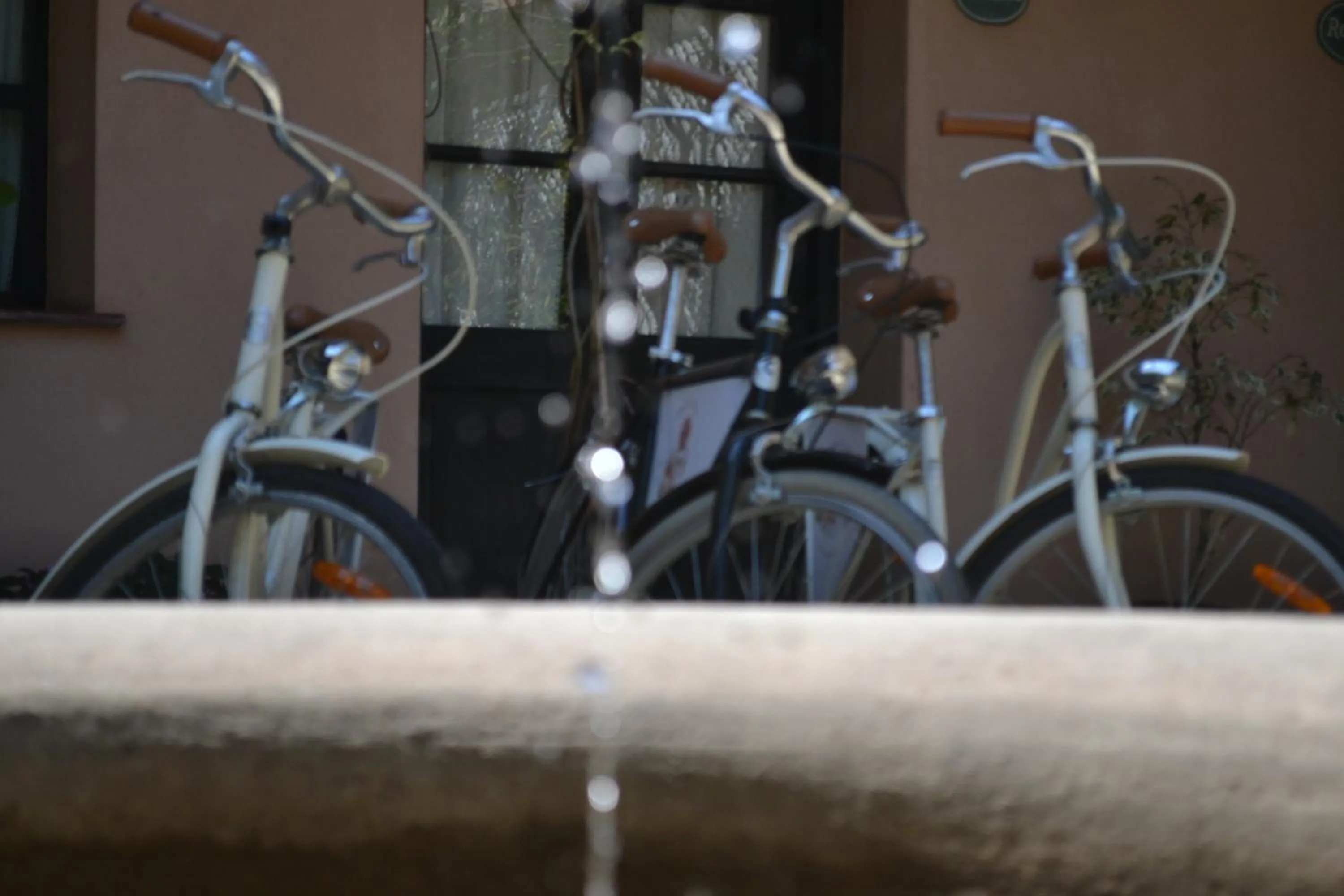 Cycling in Posada de la Flor
