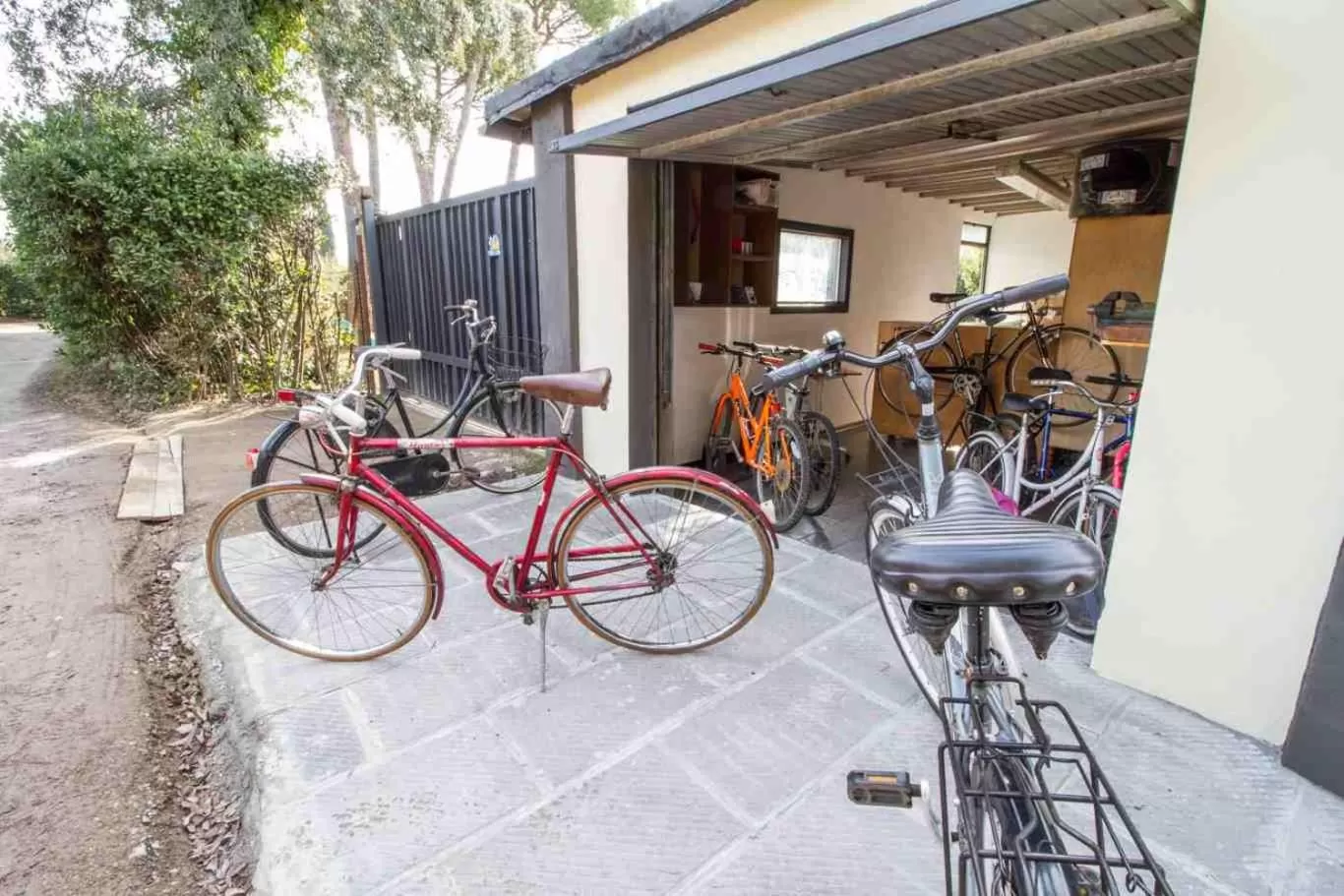 Cycling in B&B PALAZZI