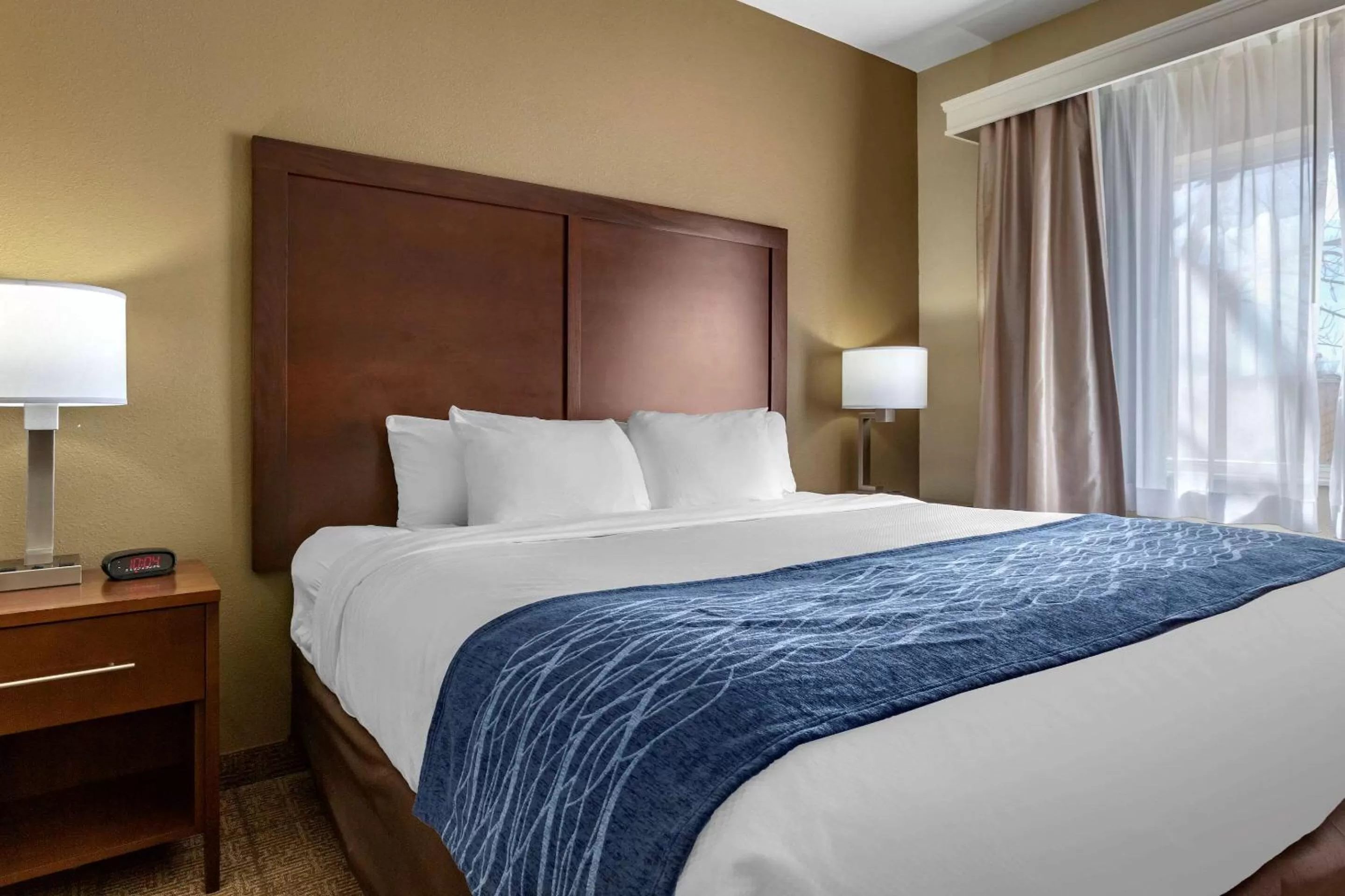 Photo of the whole room, Bed in Comfort Inn & Suites Alameda at Albuquerque Balloon Fiesta Park