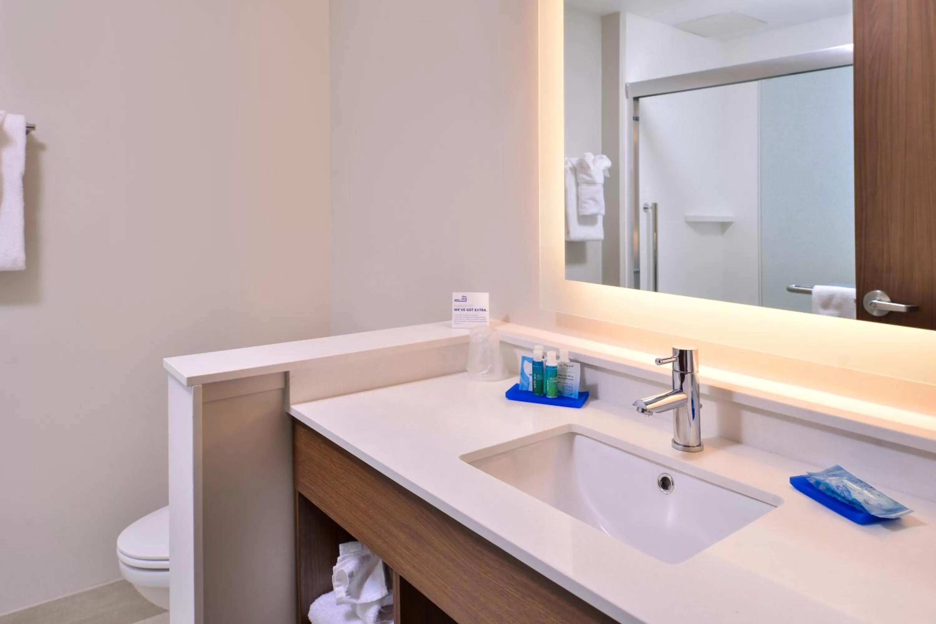 Bathroom in Holiday Inn Express & Suites Farmville by IHG