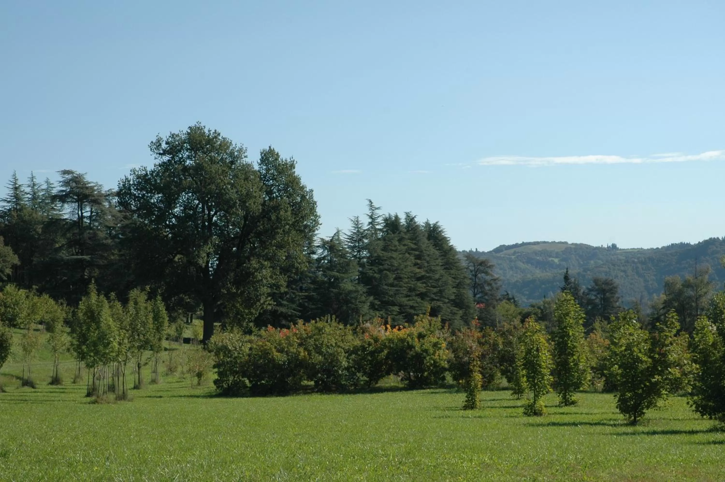 Garden in Agriturismo Rio Verde