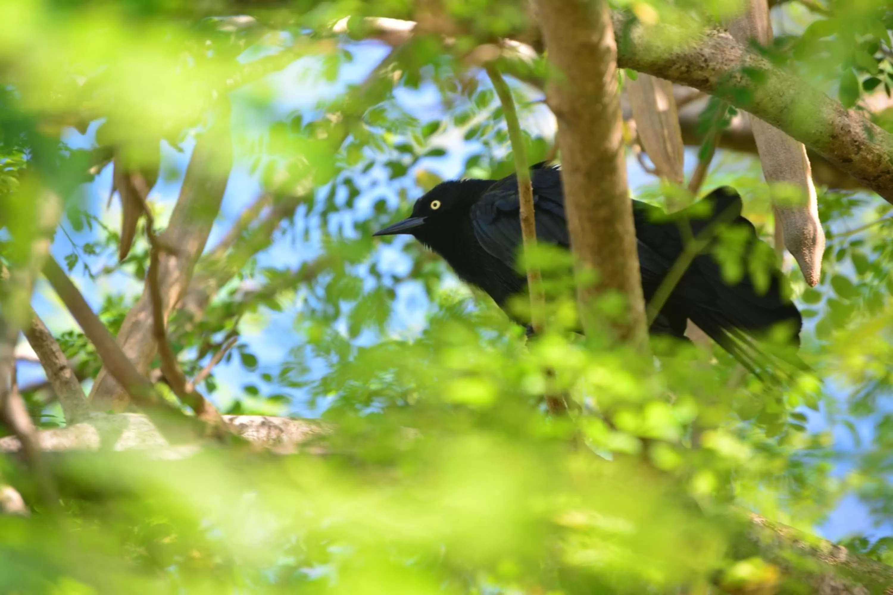 Nearby landmark in Instyle Residences at Infiniti Blu