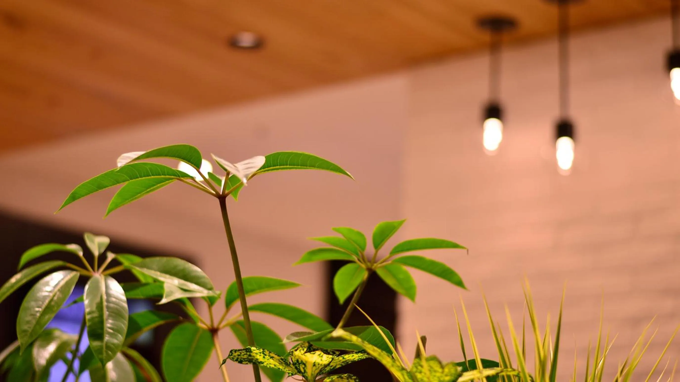 JR-East Hotel Mets Yokohama