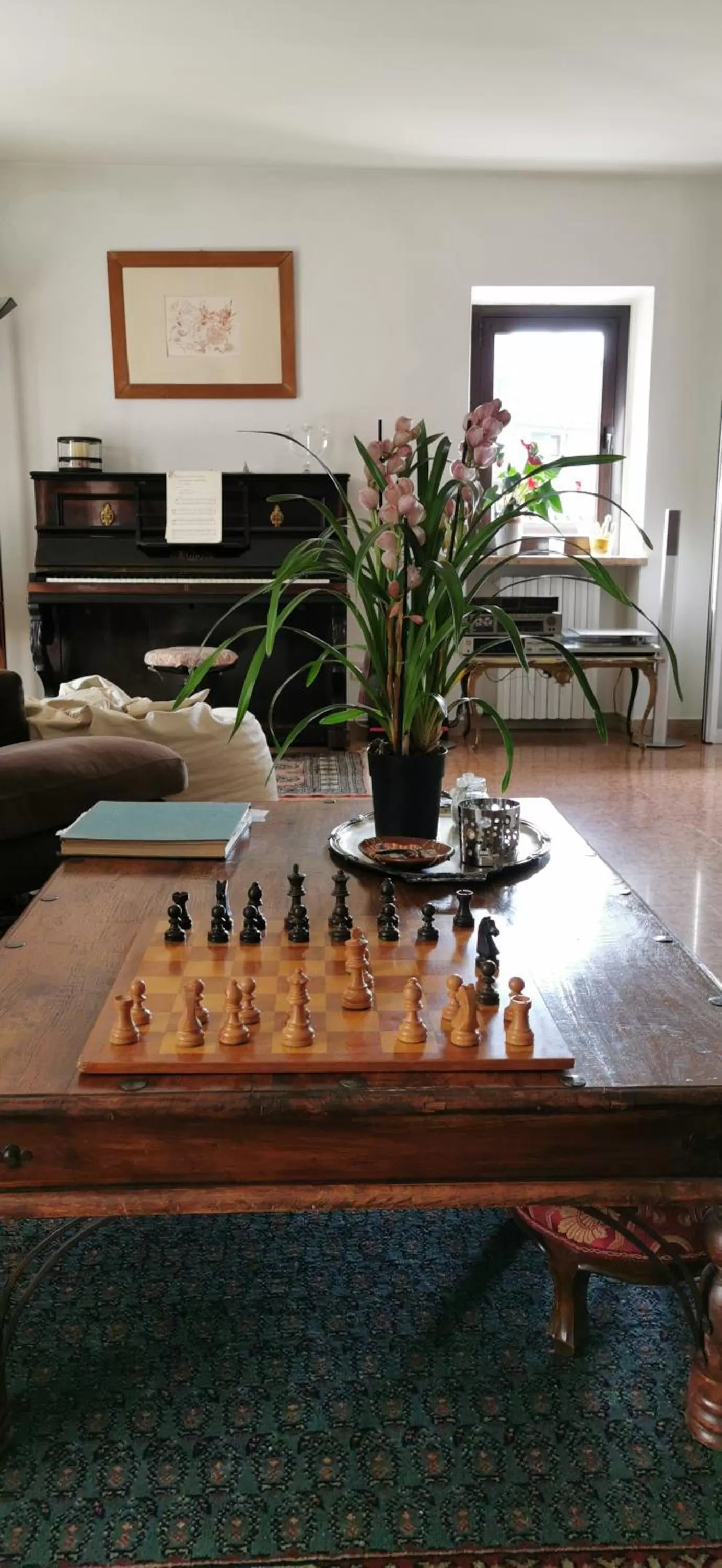 Library in A Casa di Tom