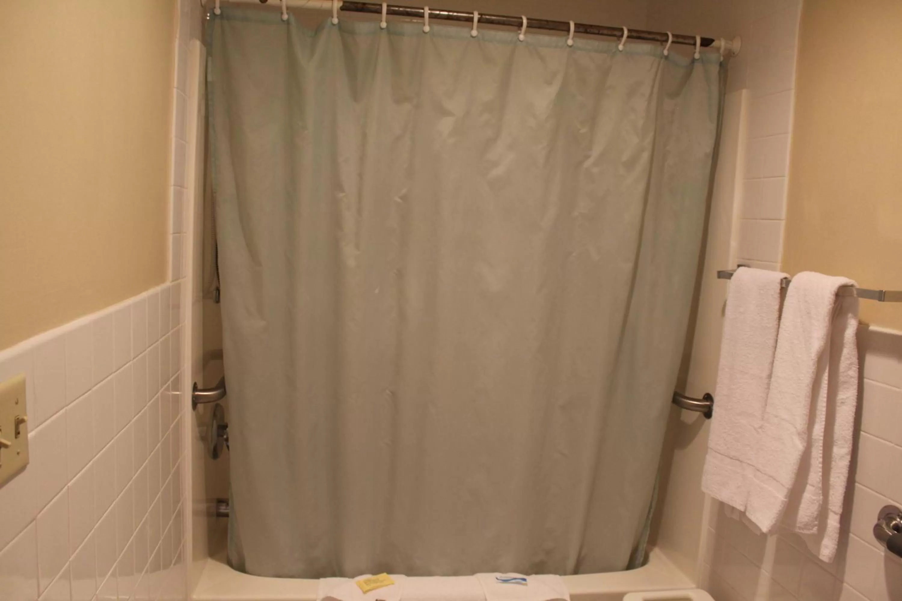 Bathroom in Budget Host Inn Fridley