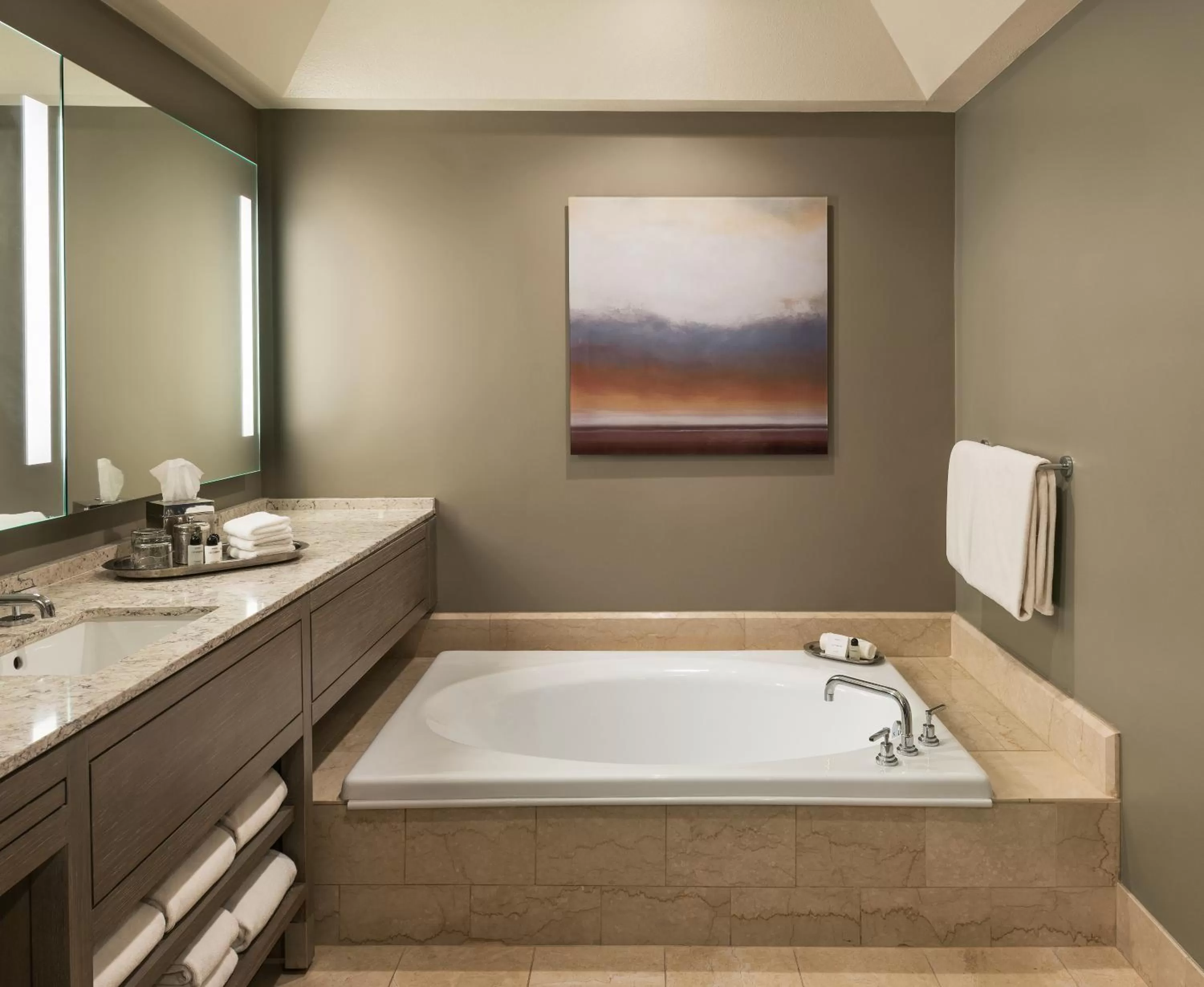 Bath in The Phoenician, a Luxury Collection Resort, Scottsdale