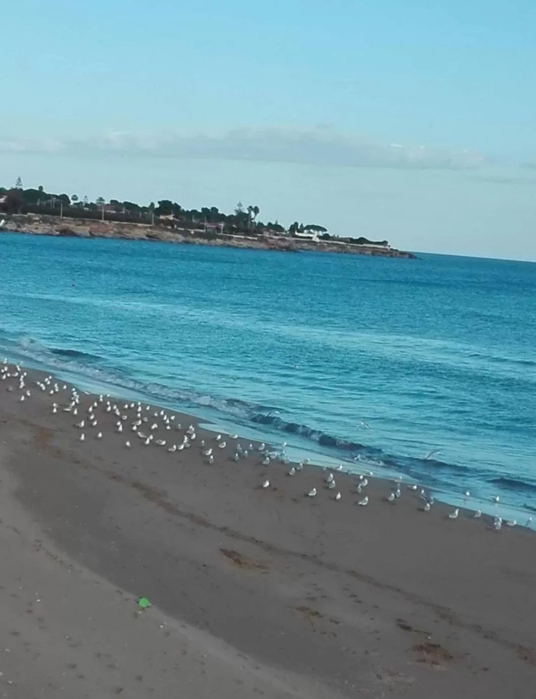 Beach in La Rosa dei venti