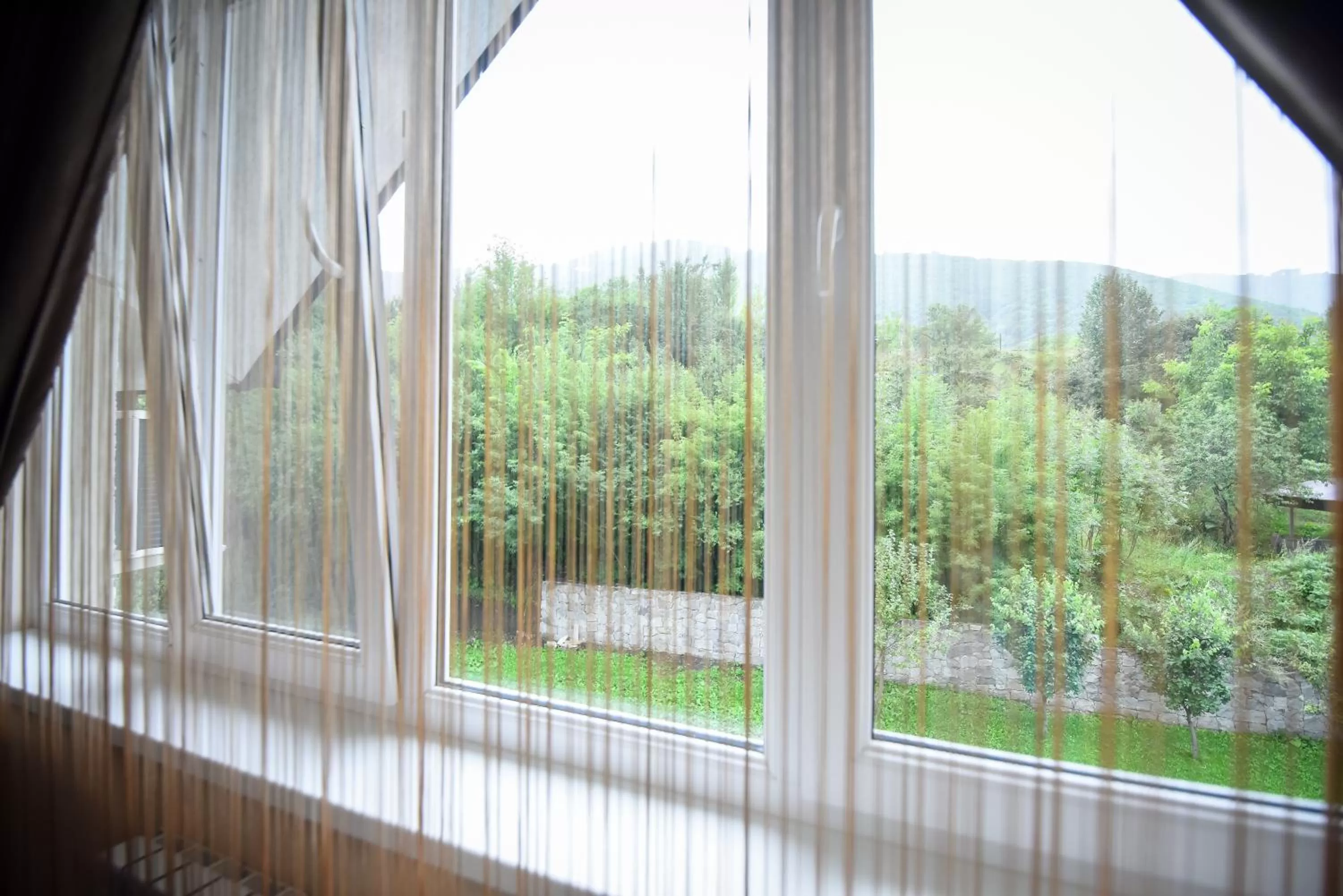 Mountain view in Laguna Hotel