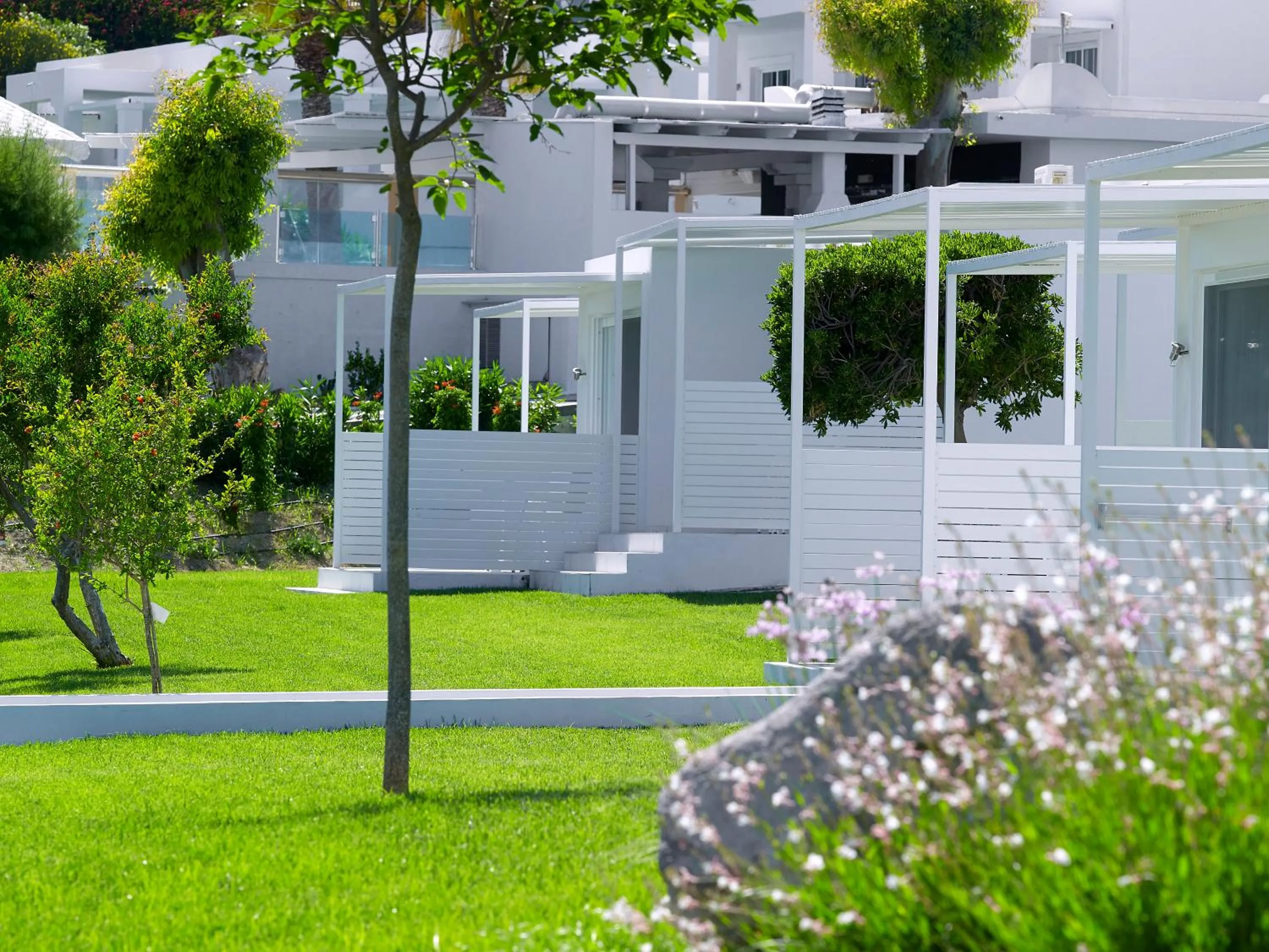 Garden view in Dimitra Beach Hotel & Suites