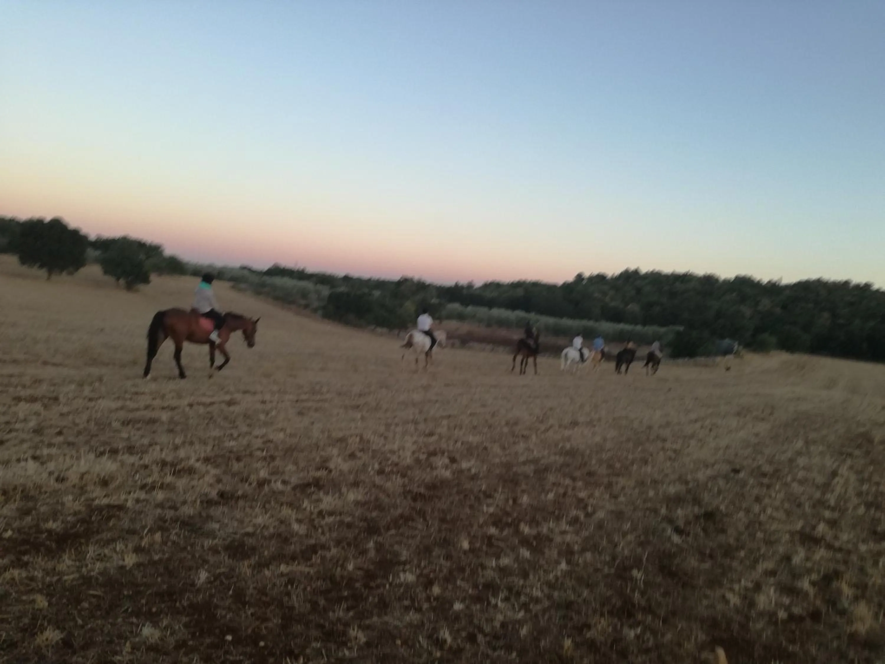 Natural landscape in Agriturismo Fasano