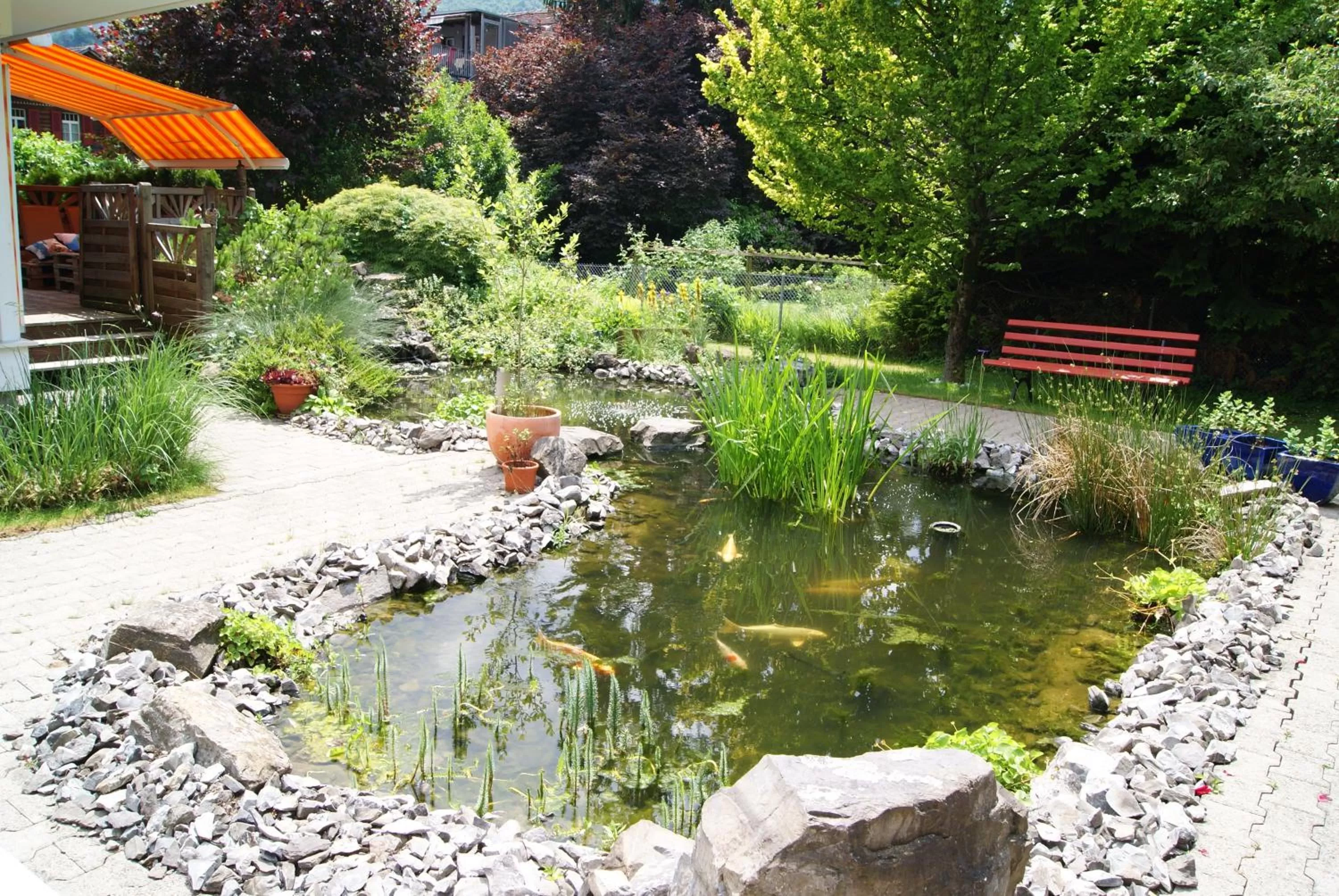 Garden in Adventure Guesthouse Interlaken