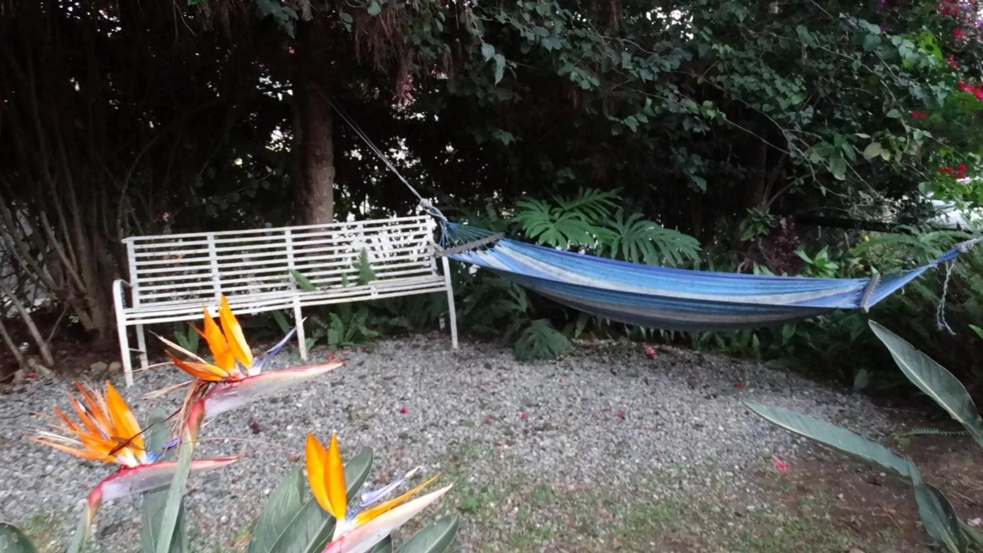Garden view in Hotel Rancho Constanza & Cabañas de la Montaña