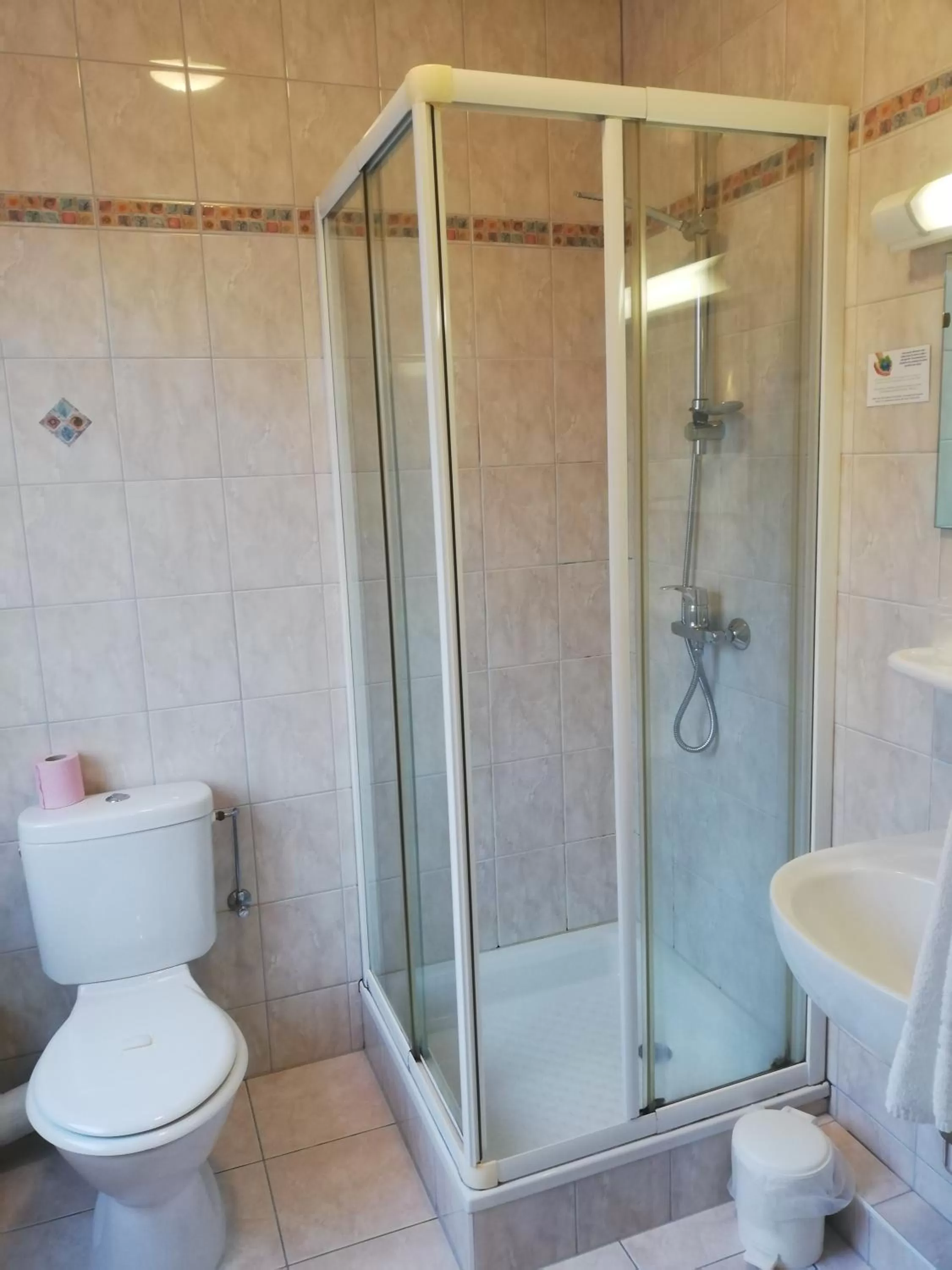 Bathroom in Hôtel Restaurant Le Moschenross