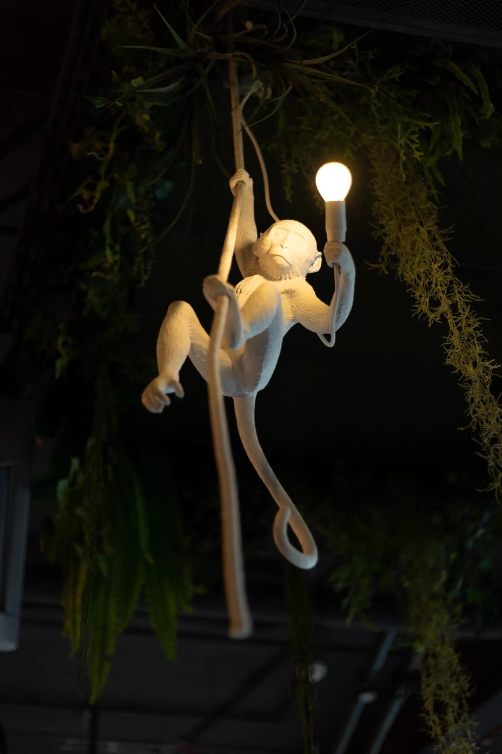 Night in Hotel Zoo by Afrykarium Wroclaw