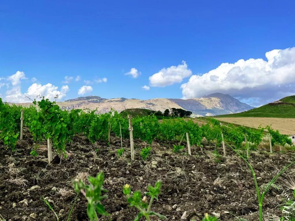 Natural landscape in Corleone GUESTHOUSE