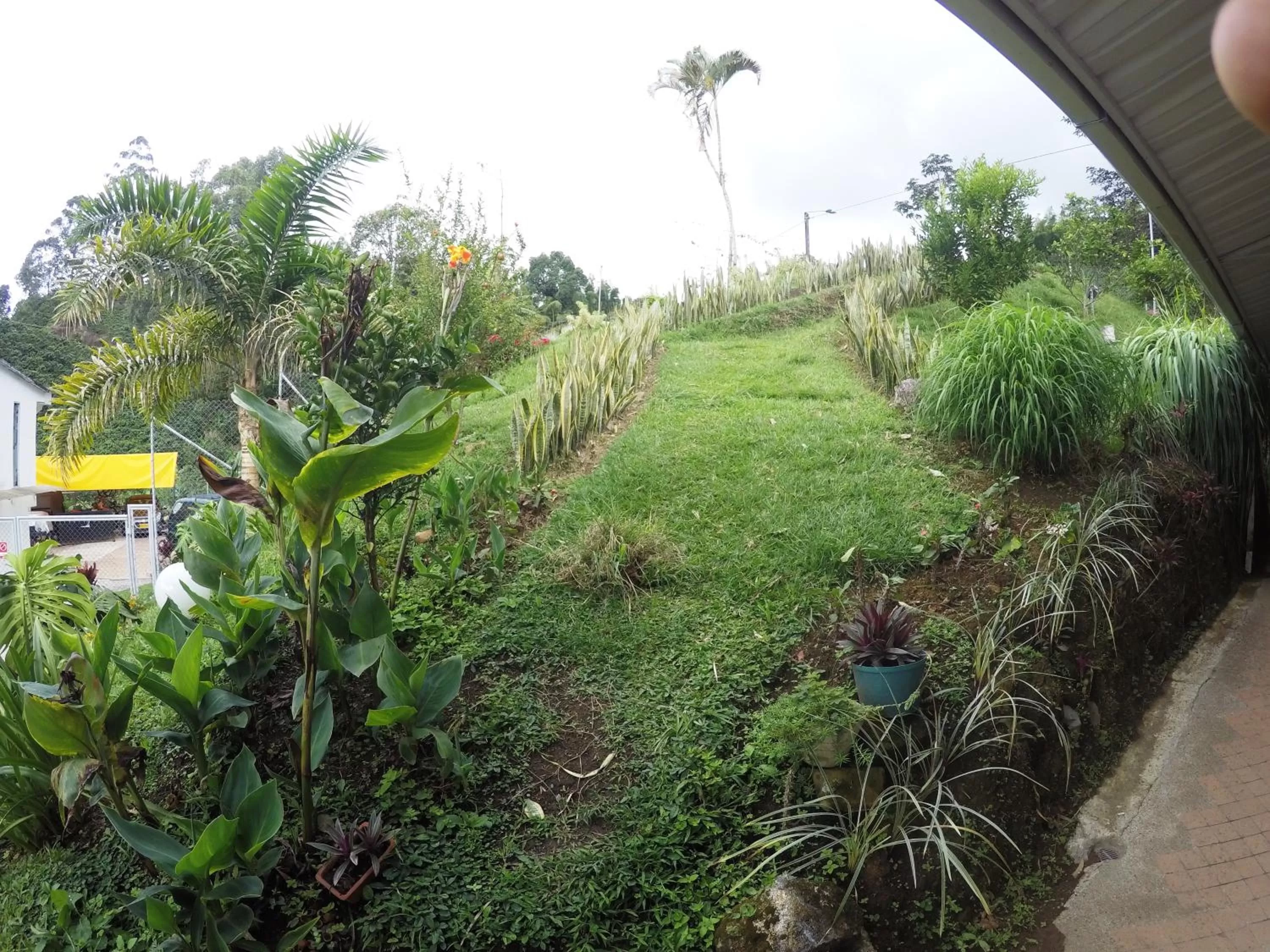 Restaurant/places to eat in Sky Club Eco Hotel