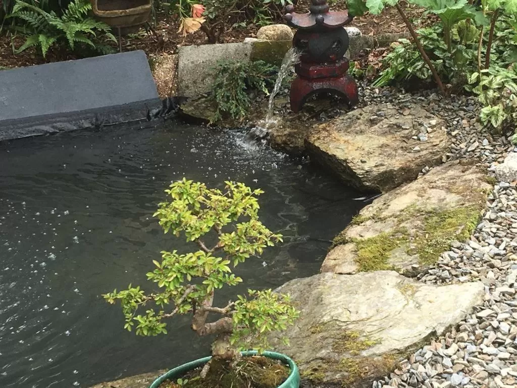 TRETHEWEY GUEST HOUSE