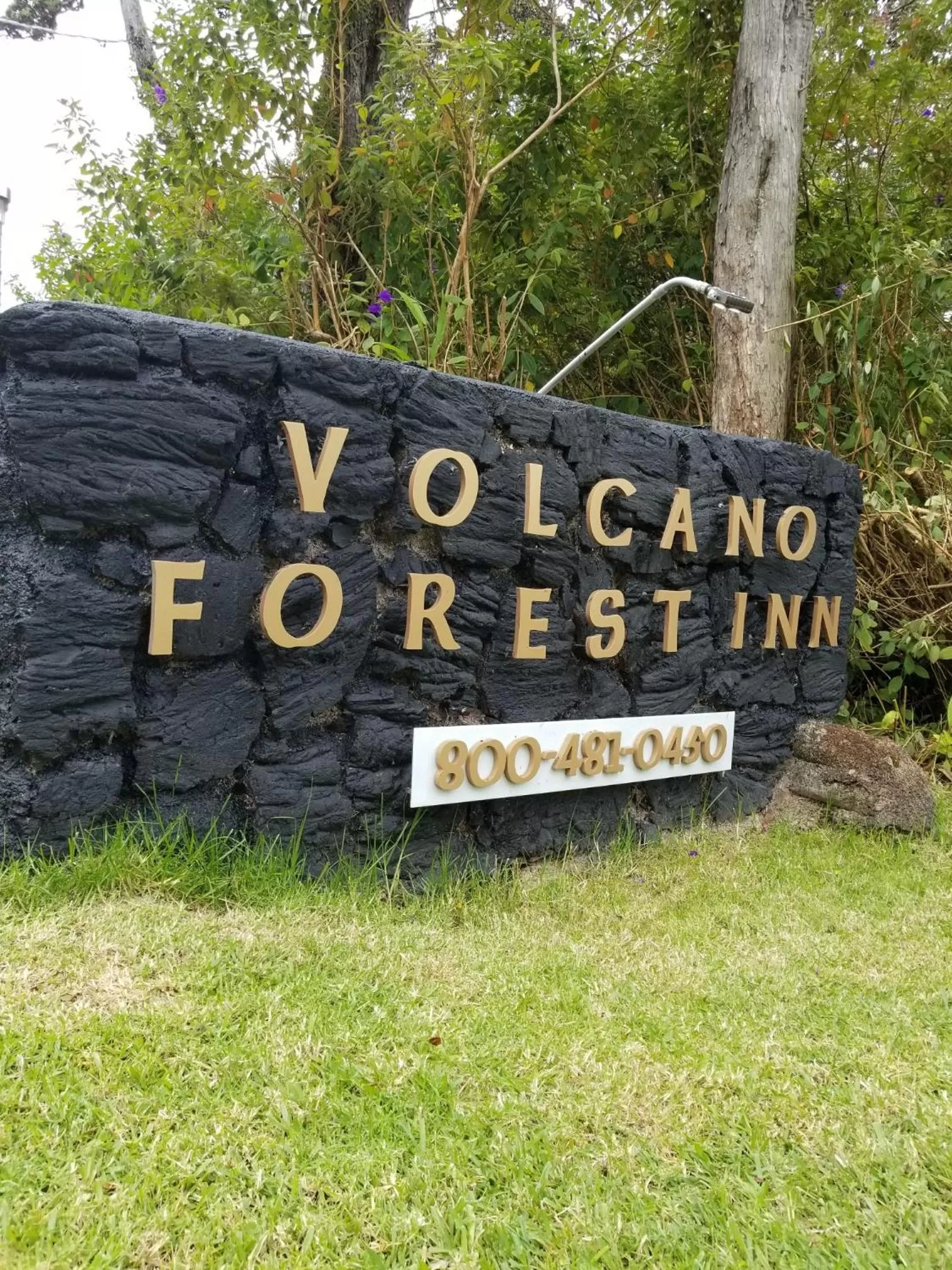 Property logo or sign in Volcano Forest Inn