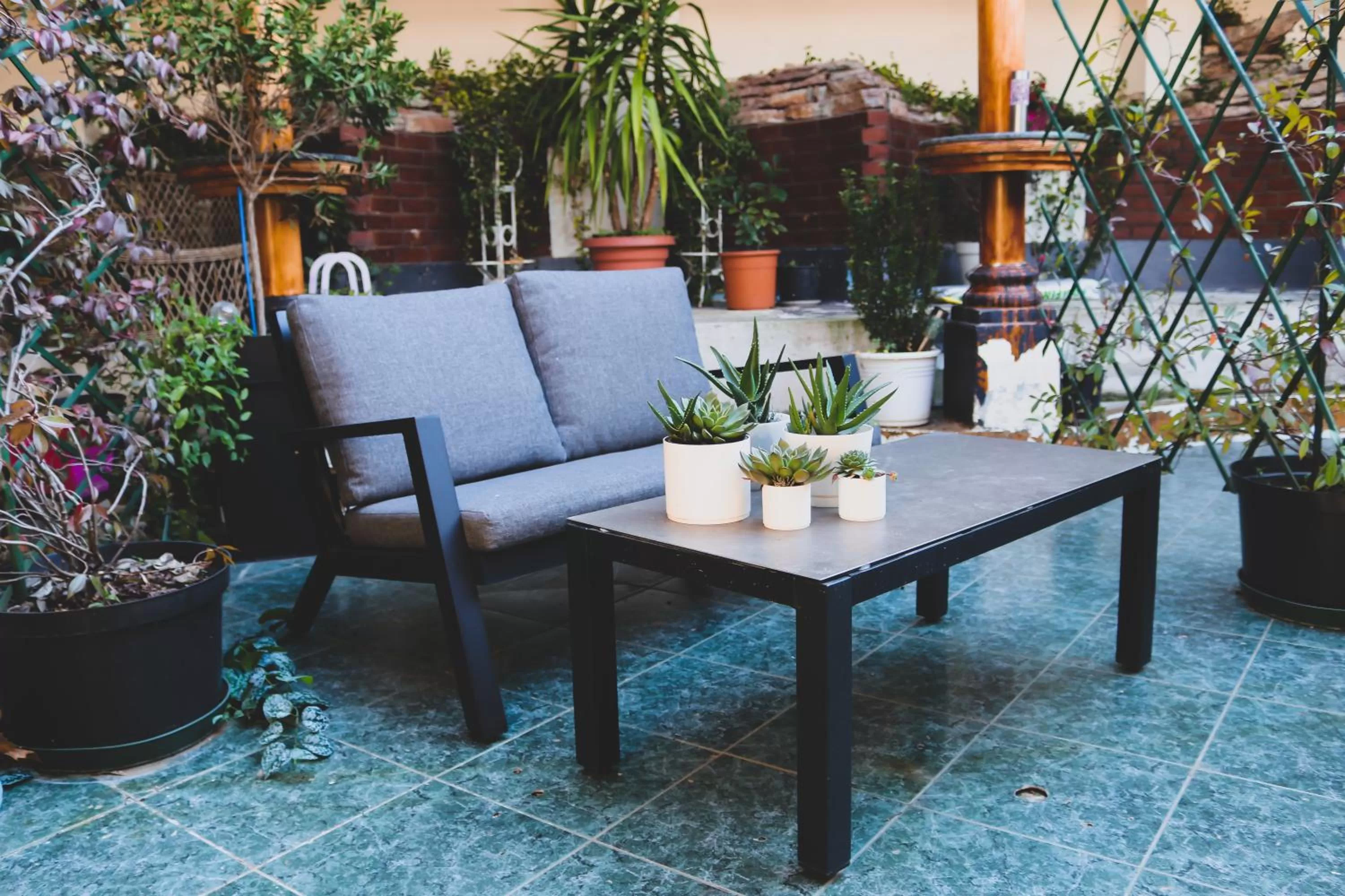 Garden in Hotel Alexandar Lux