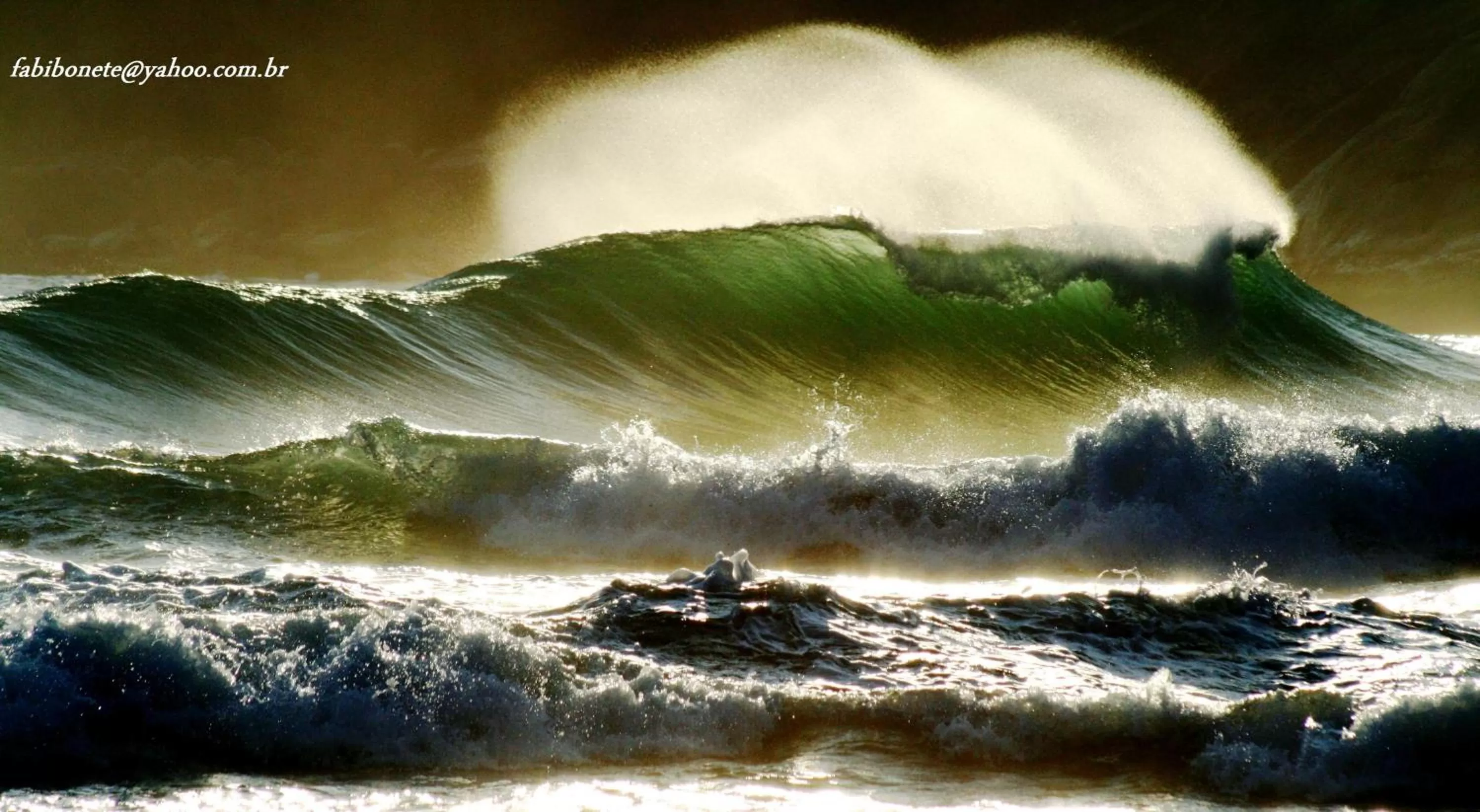 Fishing in Pousada da Rosa