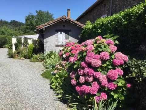Garden, Property Building in Loft Atypique