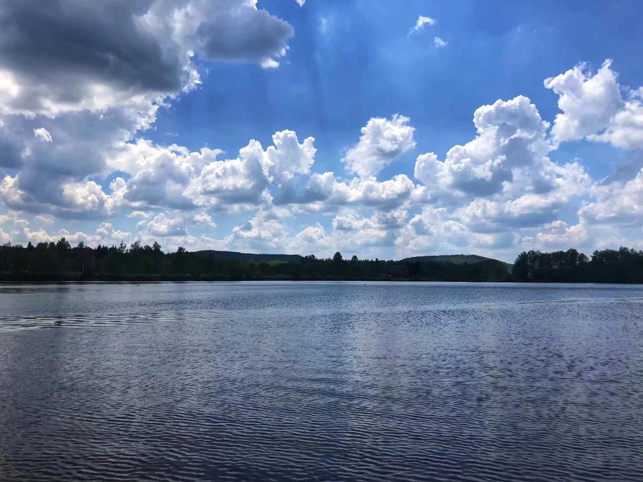 Natural landscape in Hotel Le Ronchamp