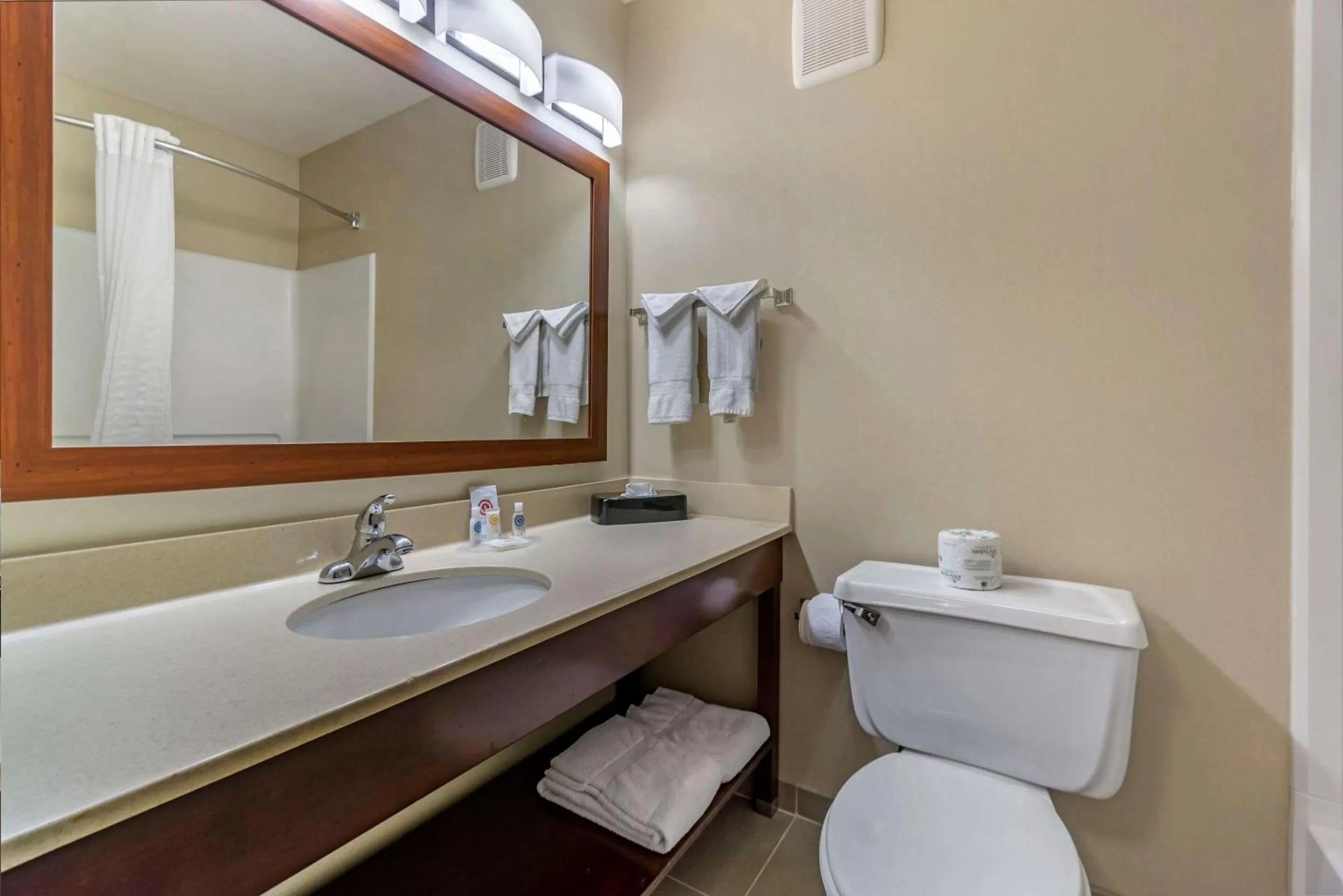 Bathroom in Comfort Inn Kennewick Richland