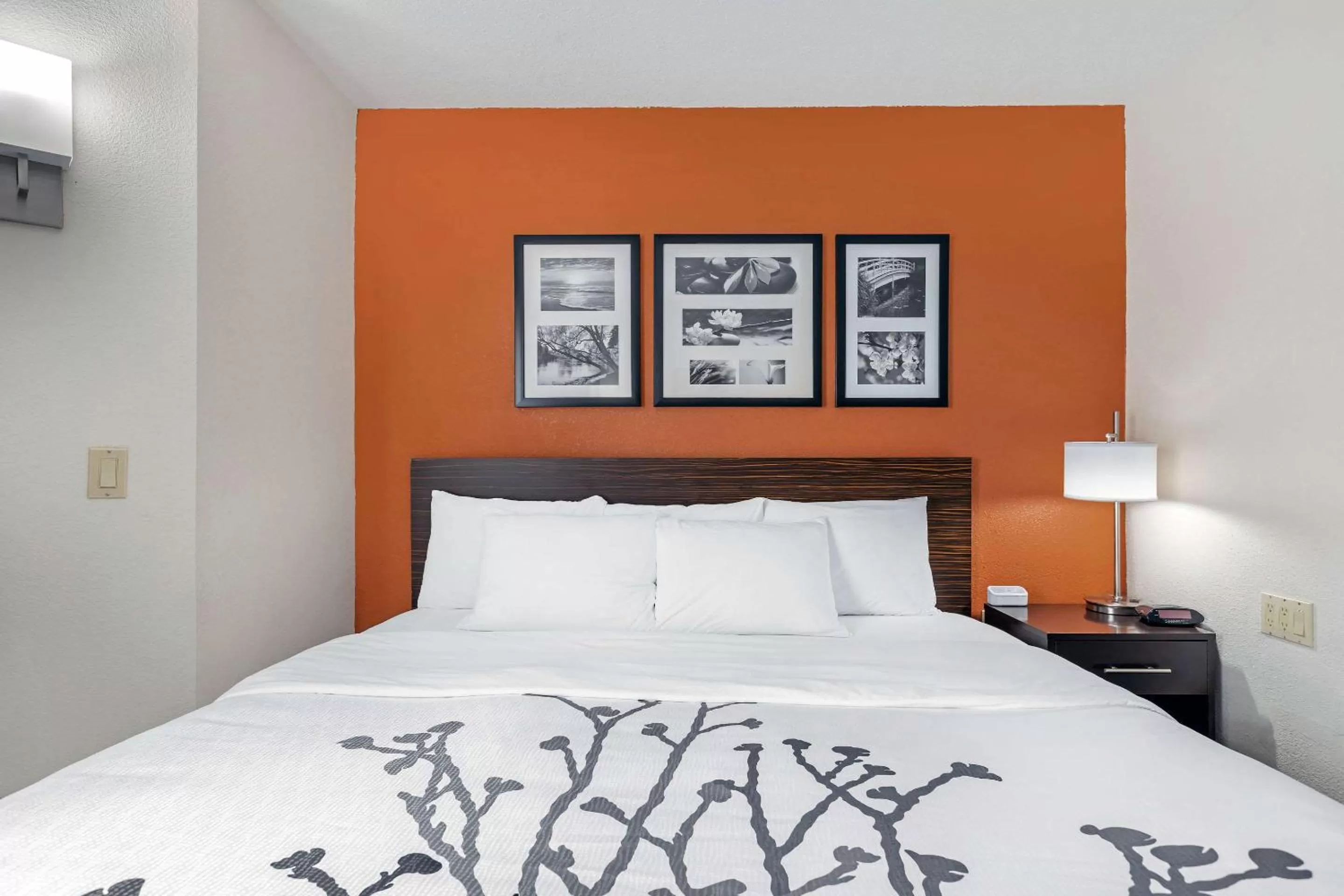 Photo of the whole room, Bed in Sleep Inn DeWitt - Lansing North