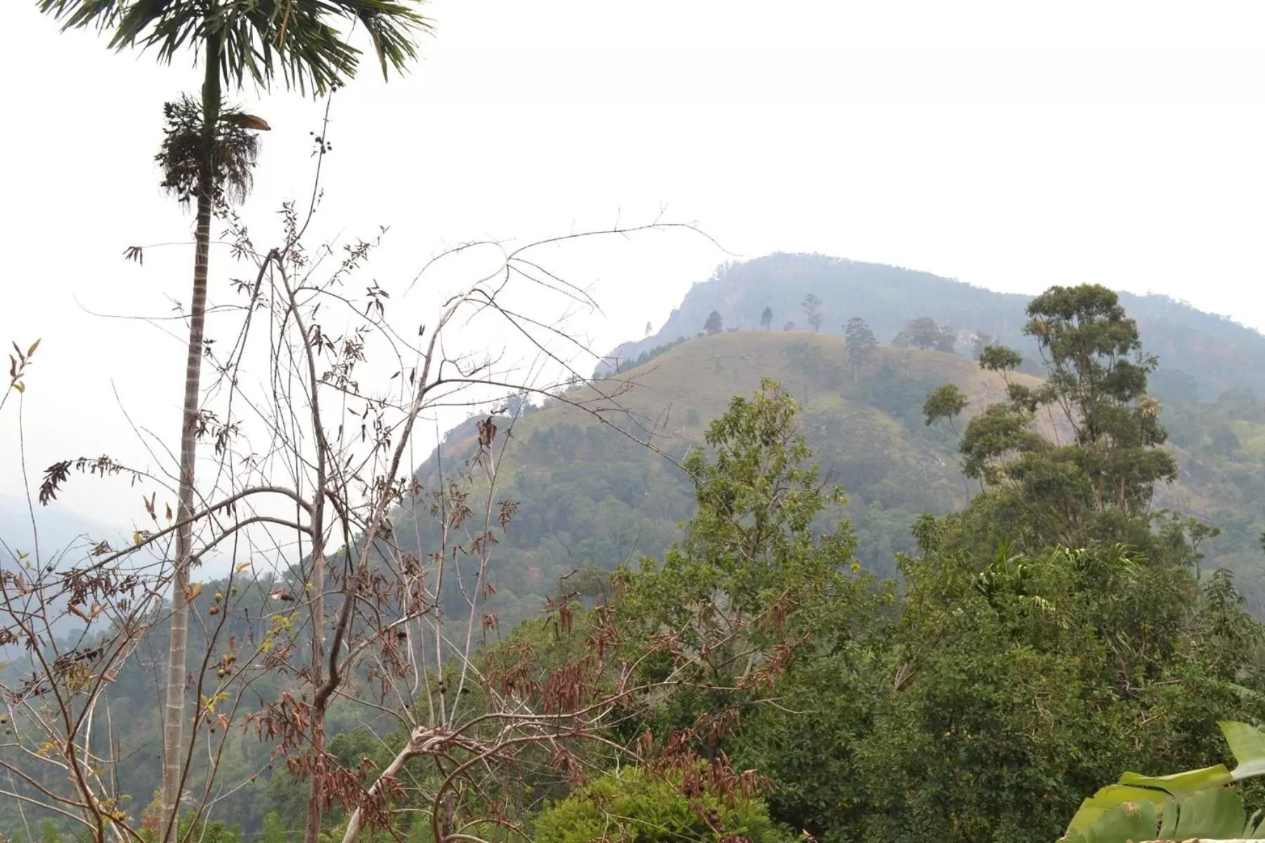 Mountain view in Heavens Seven