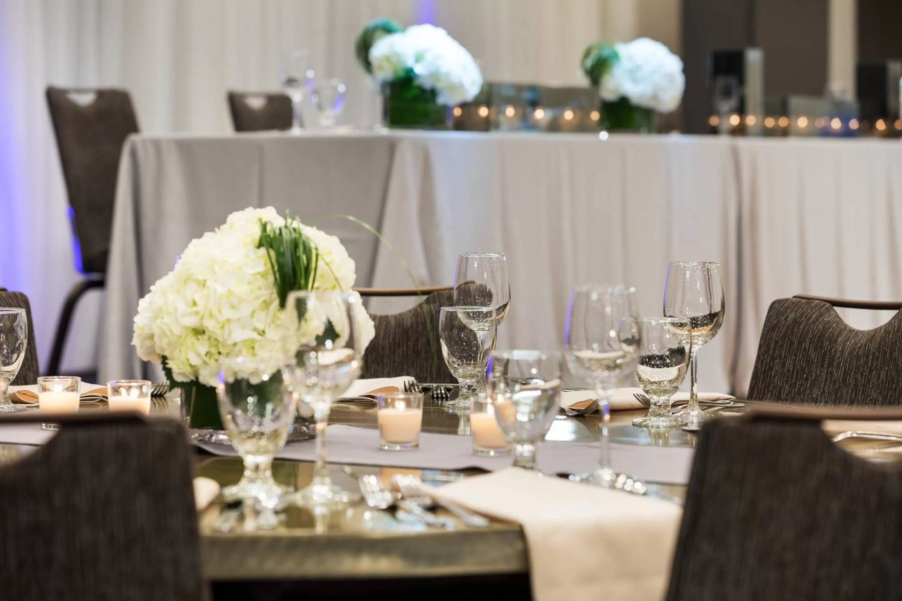 Banquet/Function facilities in Delta Hotels by Marriott Minneapolis Northeast