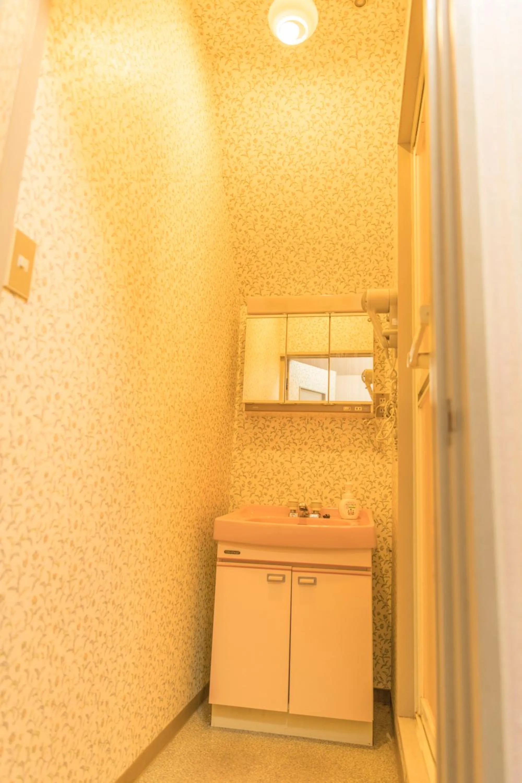 Nikko Park Lodge Mountain Side