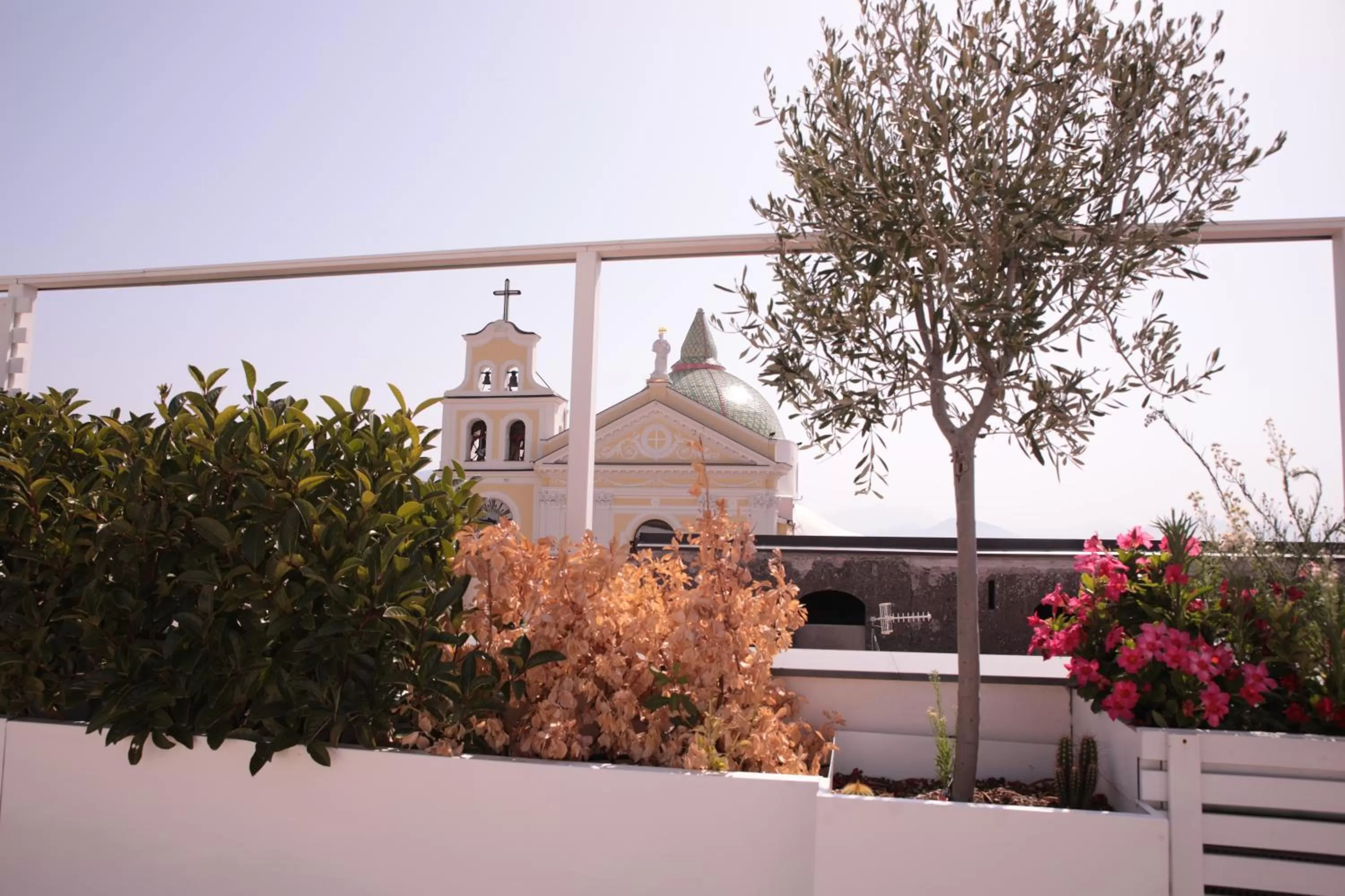 View (from property/room) in Palazzo Caracciolo del Sole