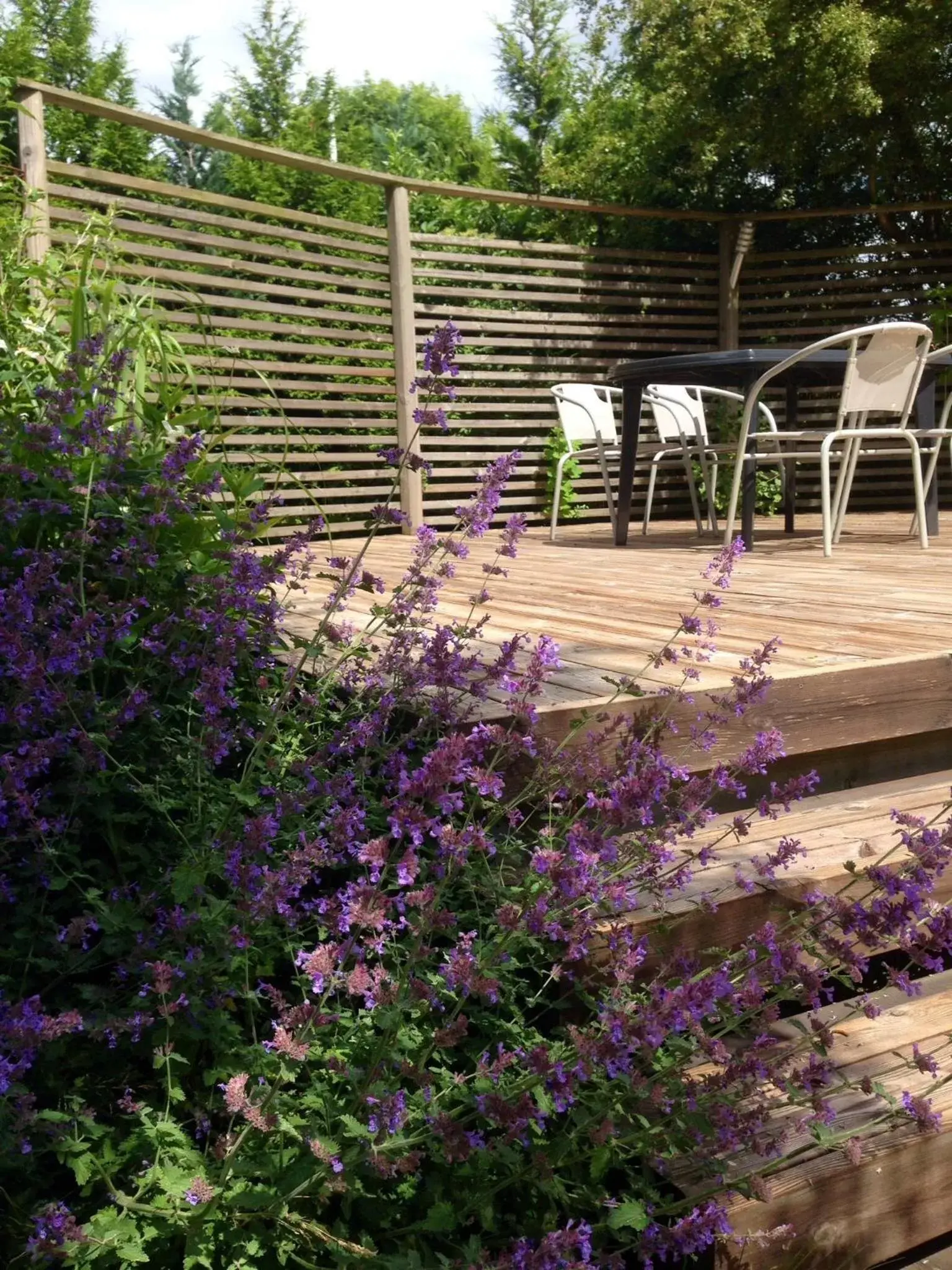 Standard Twin Room with Shared Bathroom in Aurora Bed & Breakfast Standard Twin Room with Shared Bathroom in Aurora Bed & Breakfast