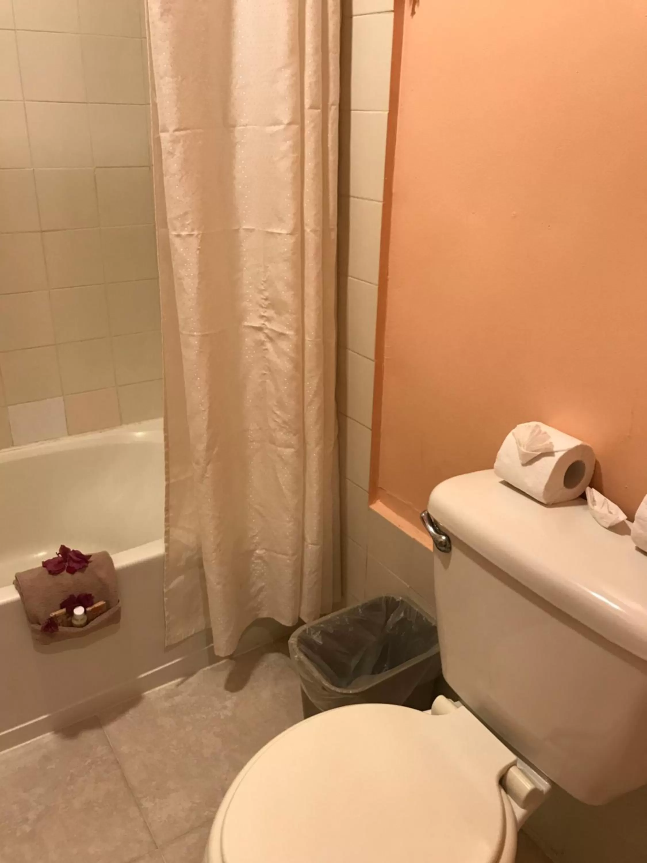 Toilet, Bathroom in Tropical Paradise Express