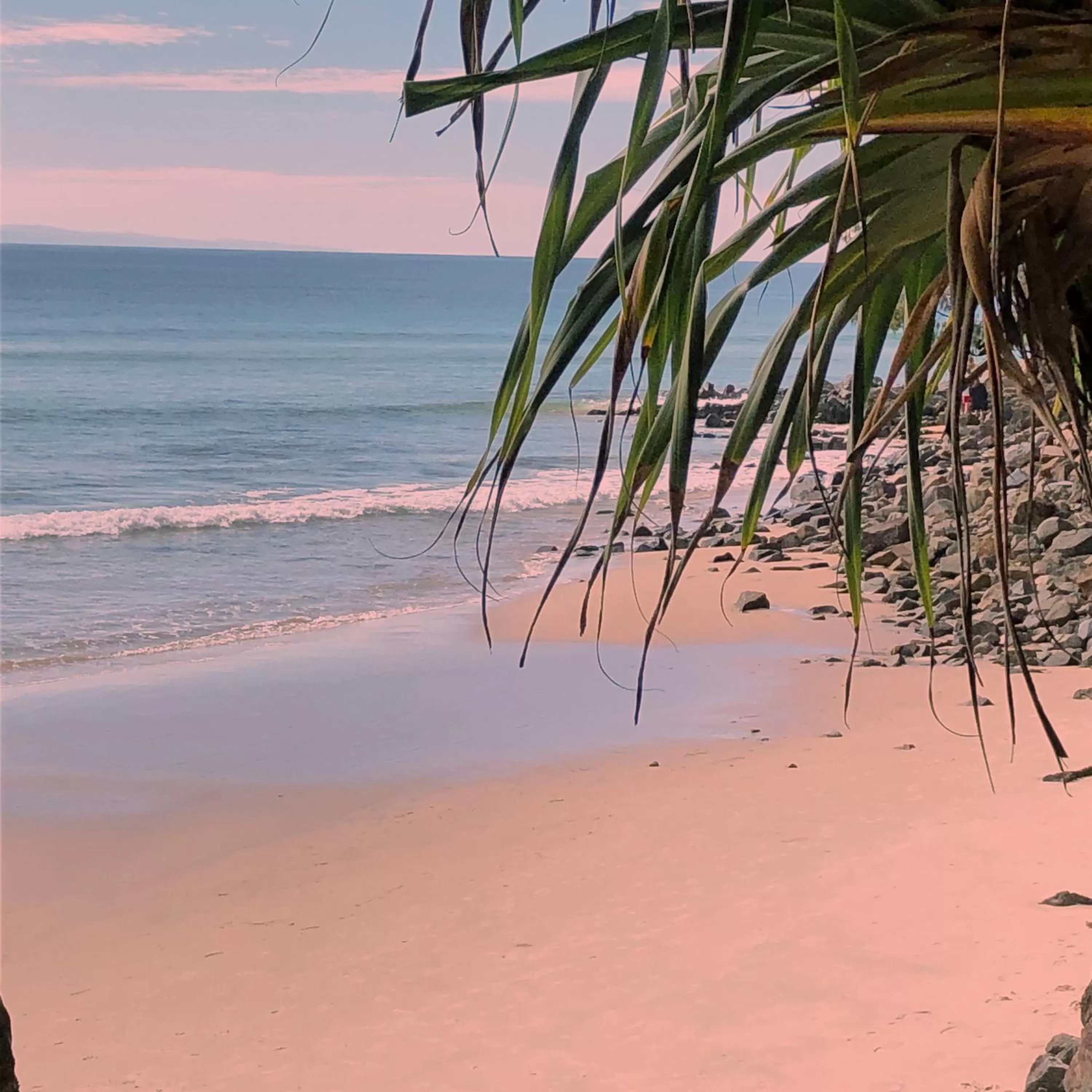 Beach in Metzo Noosa Resort