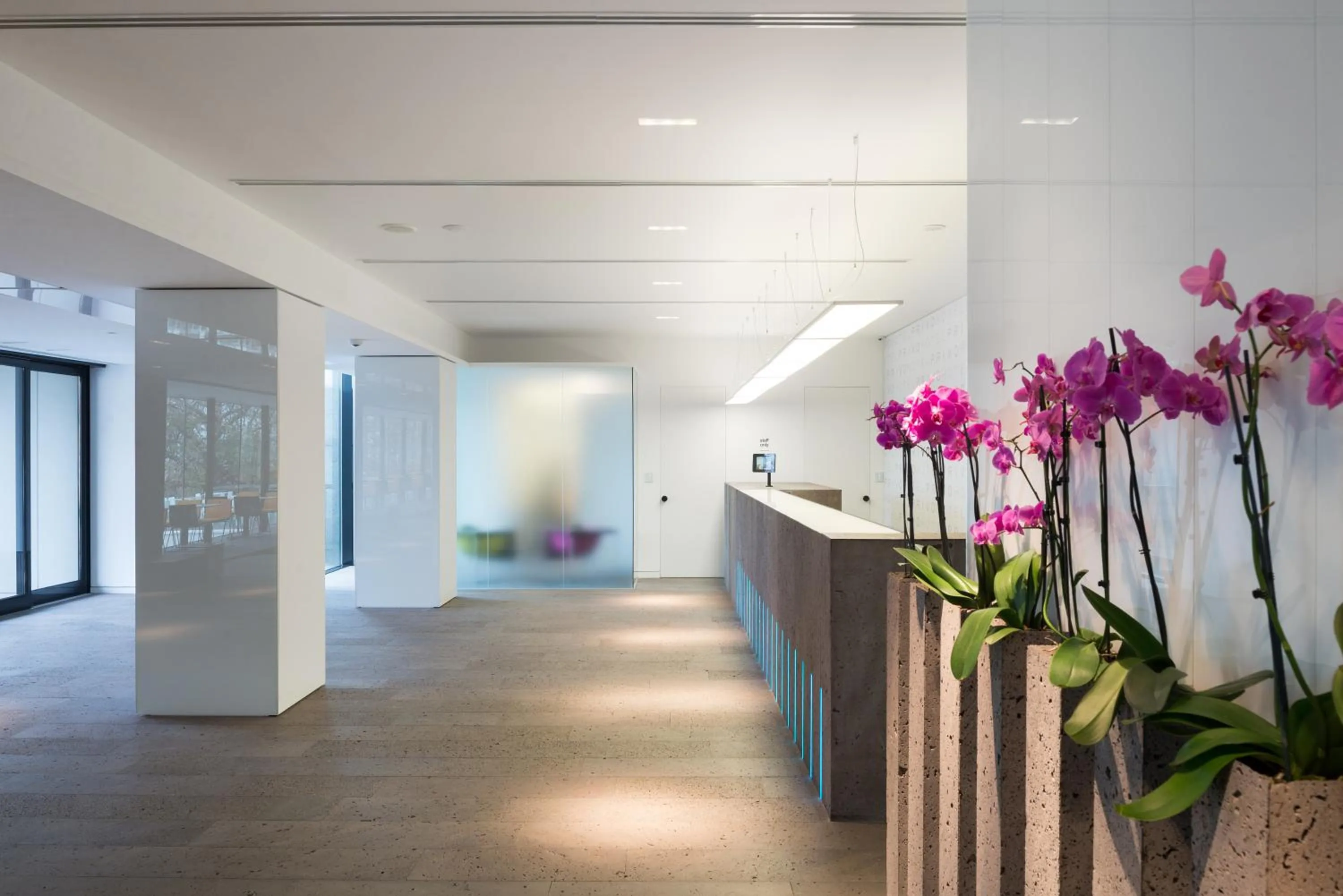 Lobby or reception in Hotel Privo