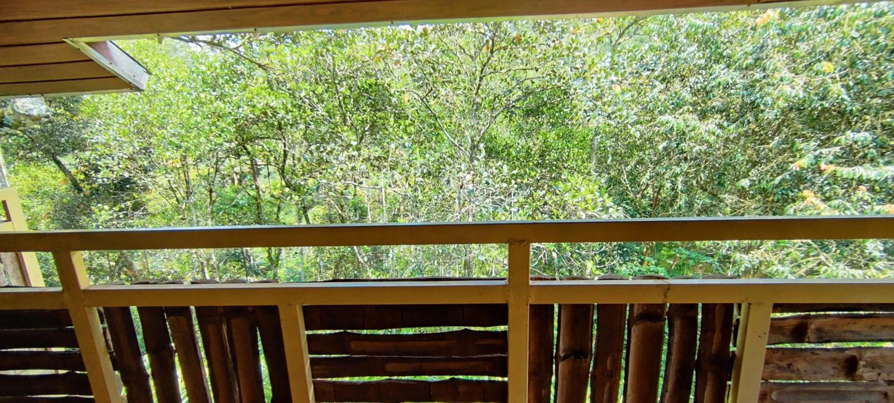 Balcony/Terrace in Chalona Jungle Vibe