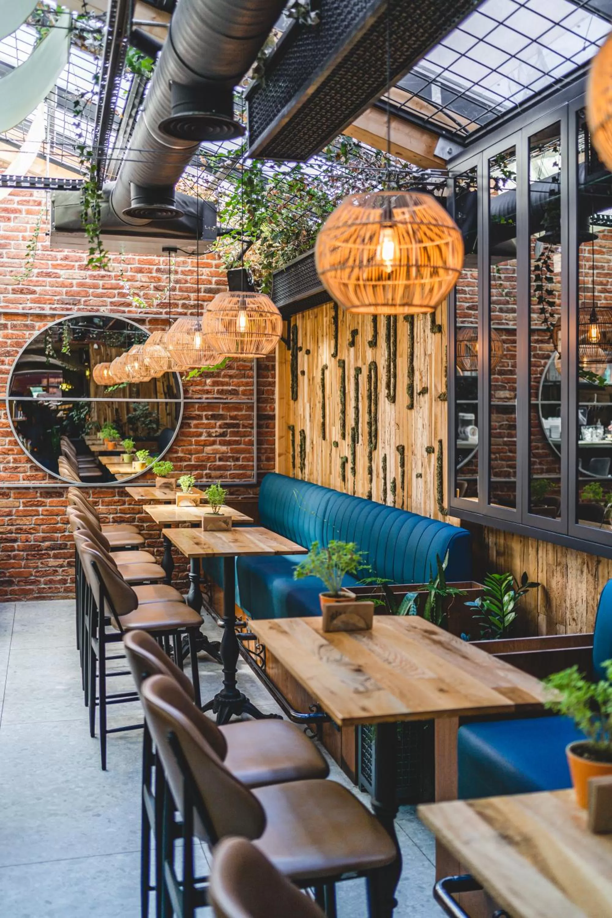 Restaurant/places to eat in The White Tree