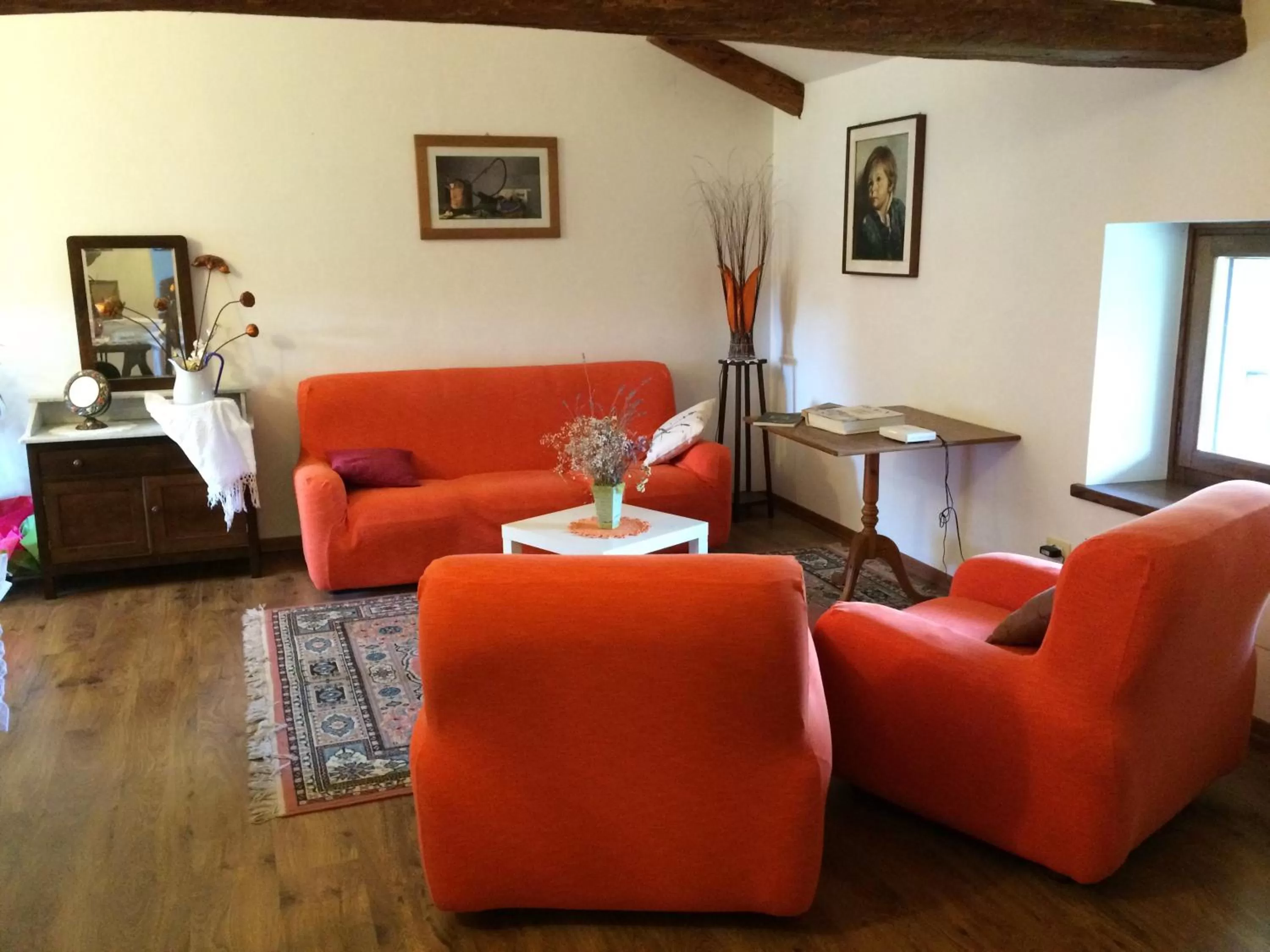 Library in Casa Pellis