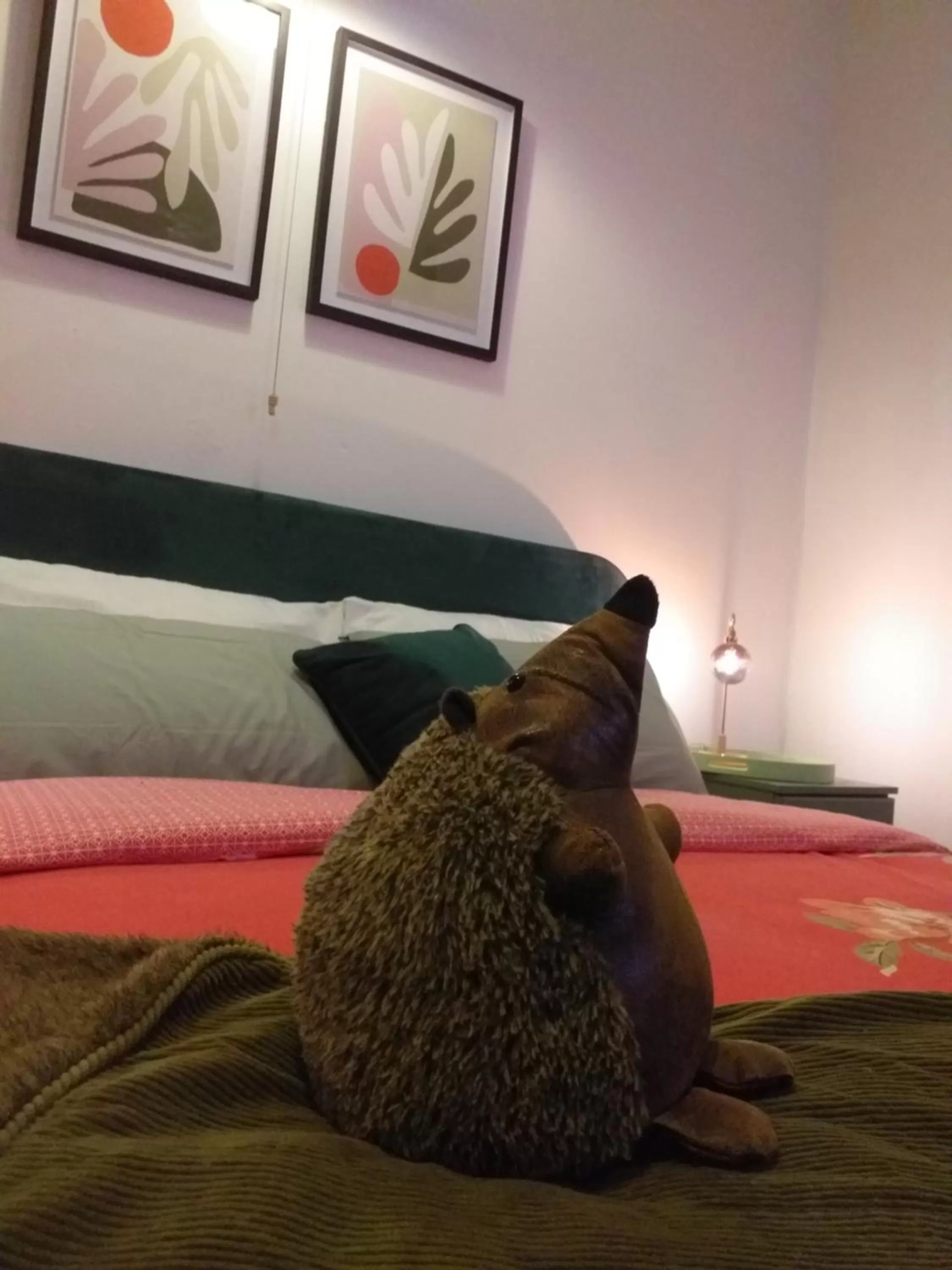 Bed in JESMOND House B&B room 1