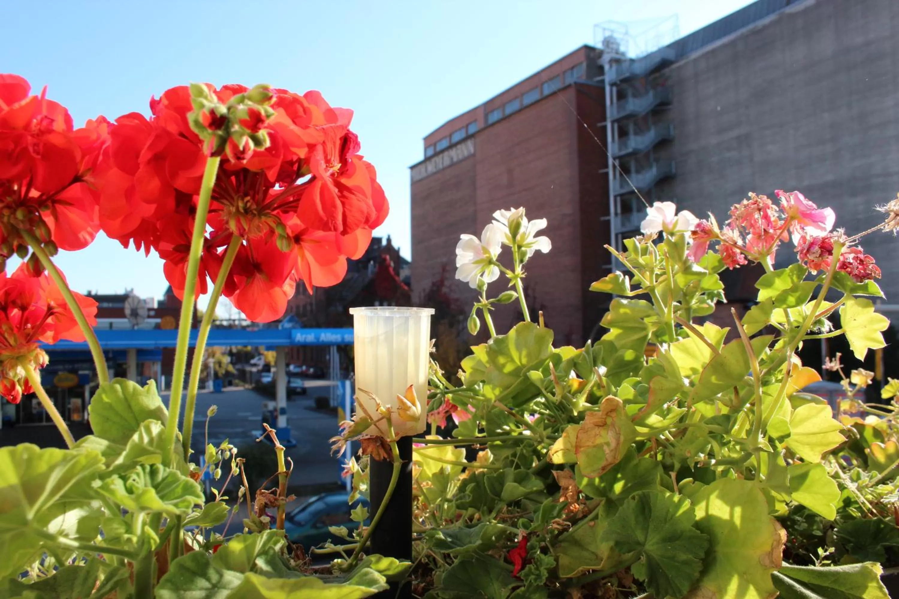 Property Building in Gasthof Drei Linden