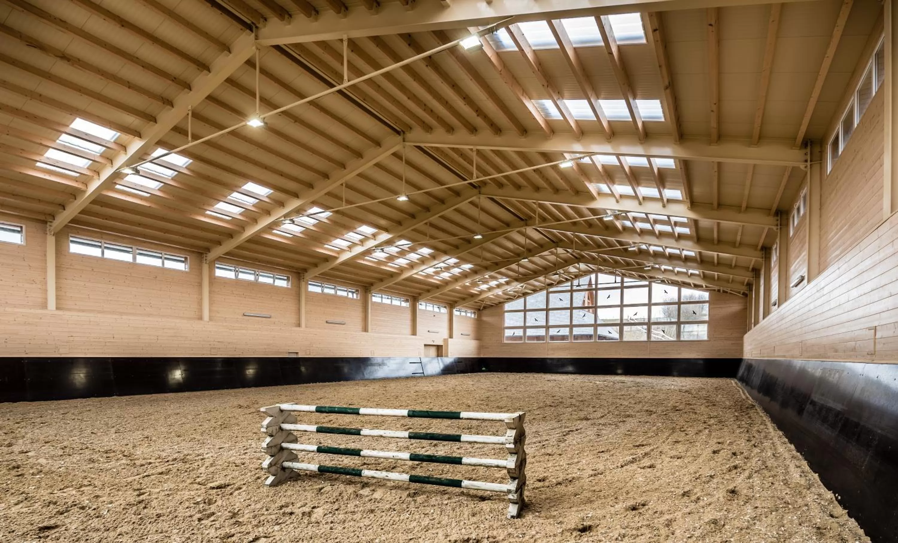 Horse-riding in Oravský Háj Garden Hotel & Resort