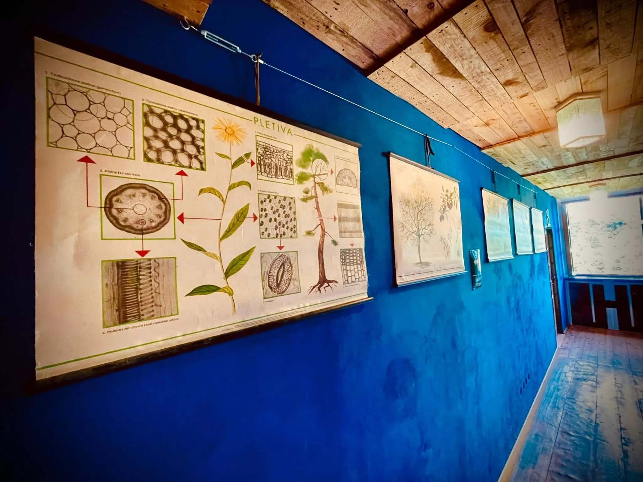 HARABURDI® Recyclart Hotel