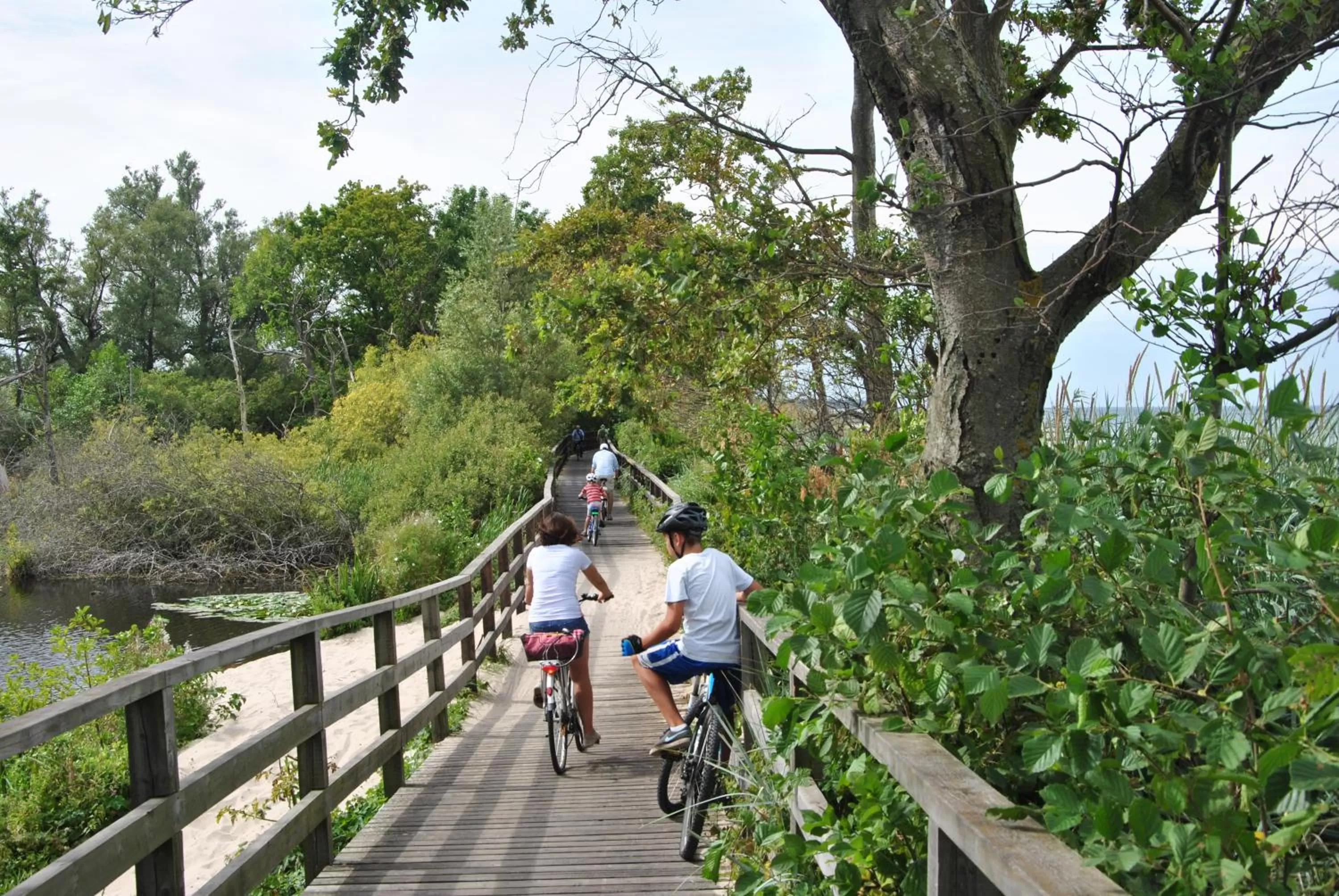 Cycling in Interferie Cechsztyn