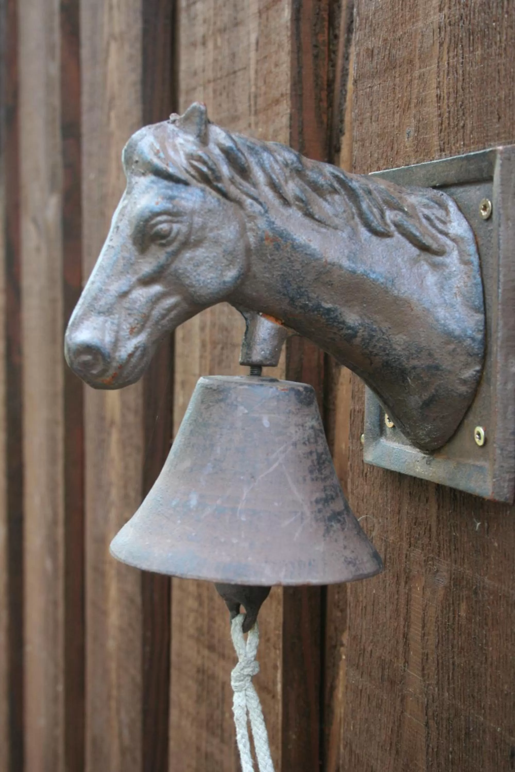 Other Animals in B&B De Drentse Es