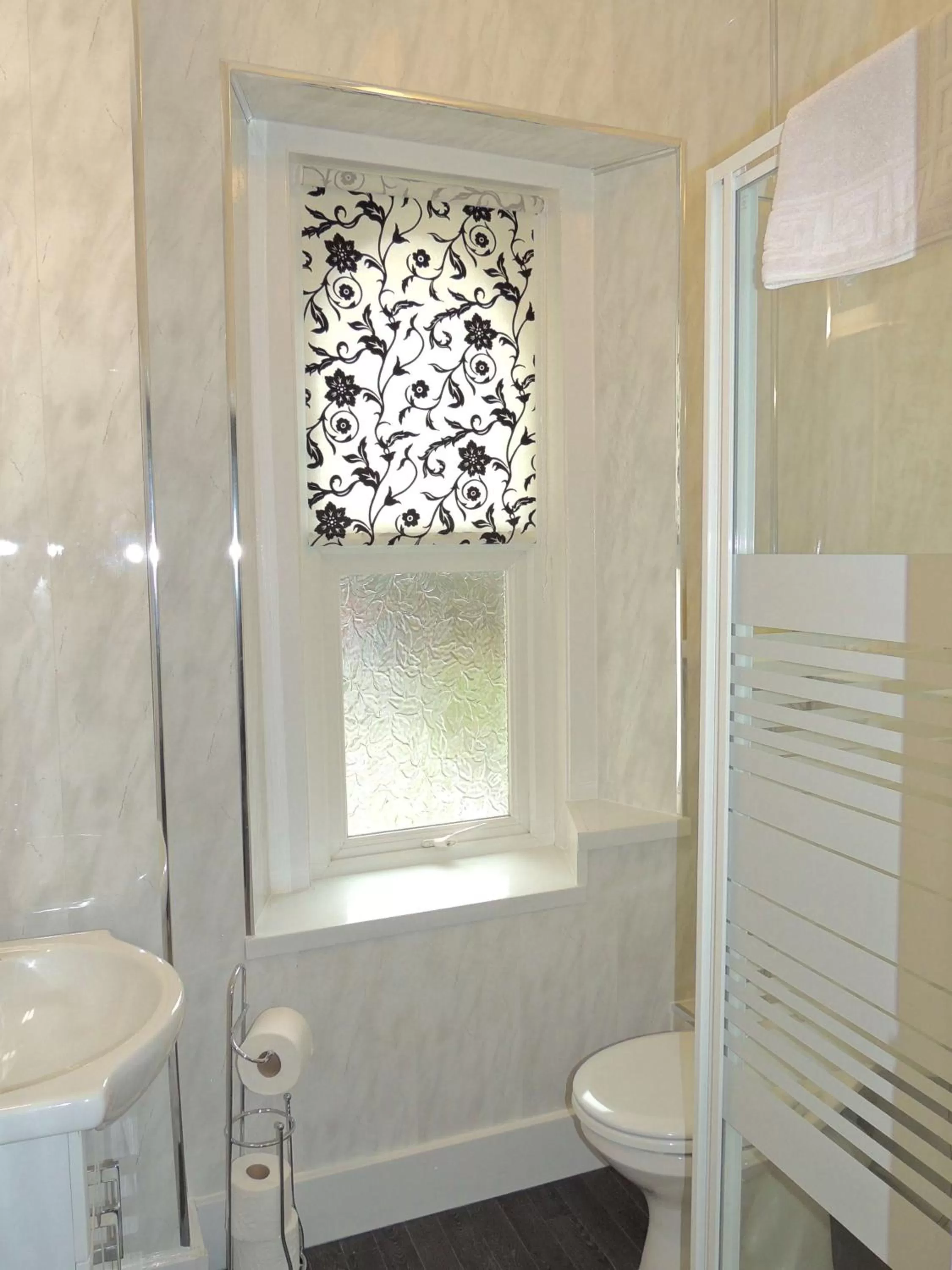 Toilet, Bathroom in Paignton Court