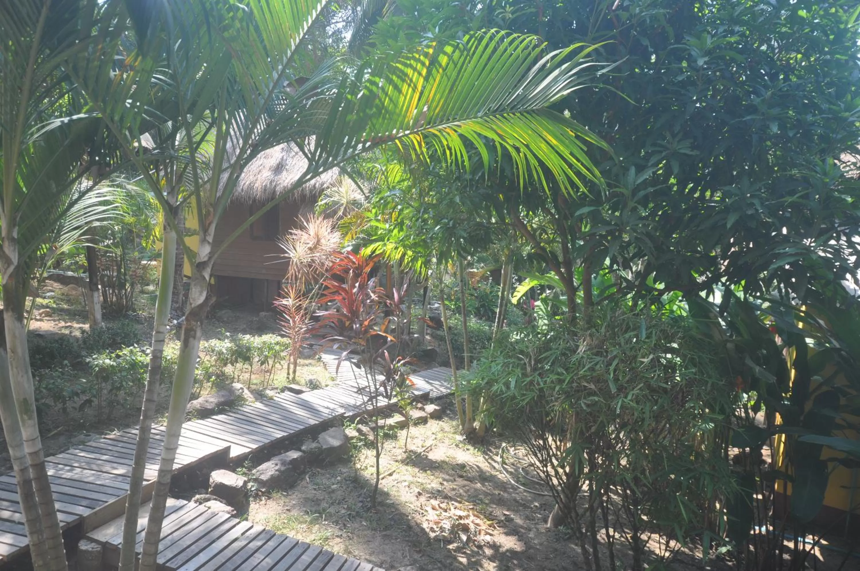 Garden in LITTLE EDEN Bungalows