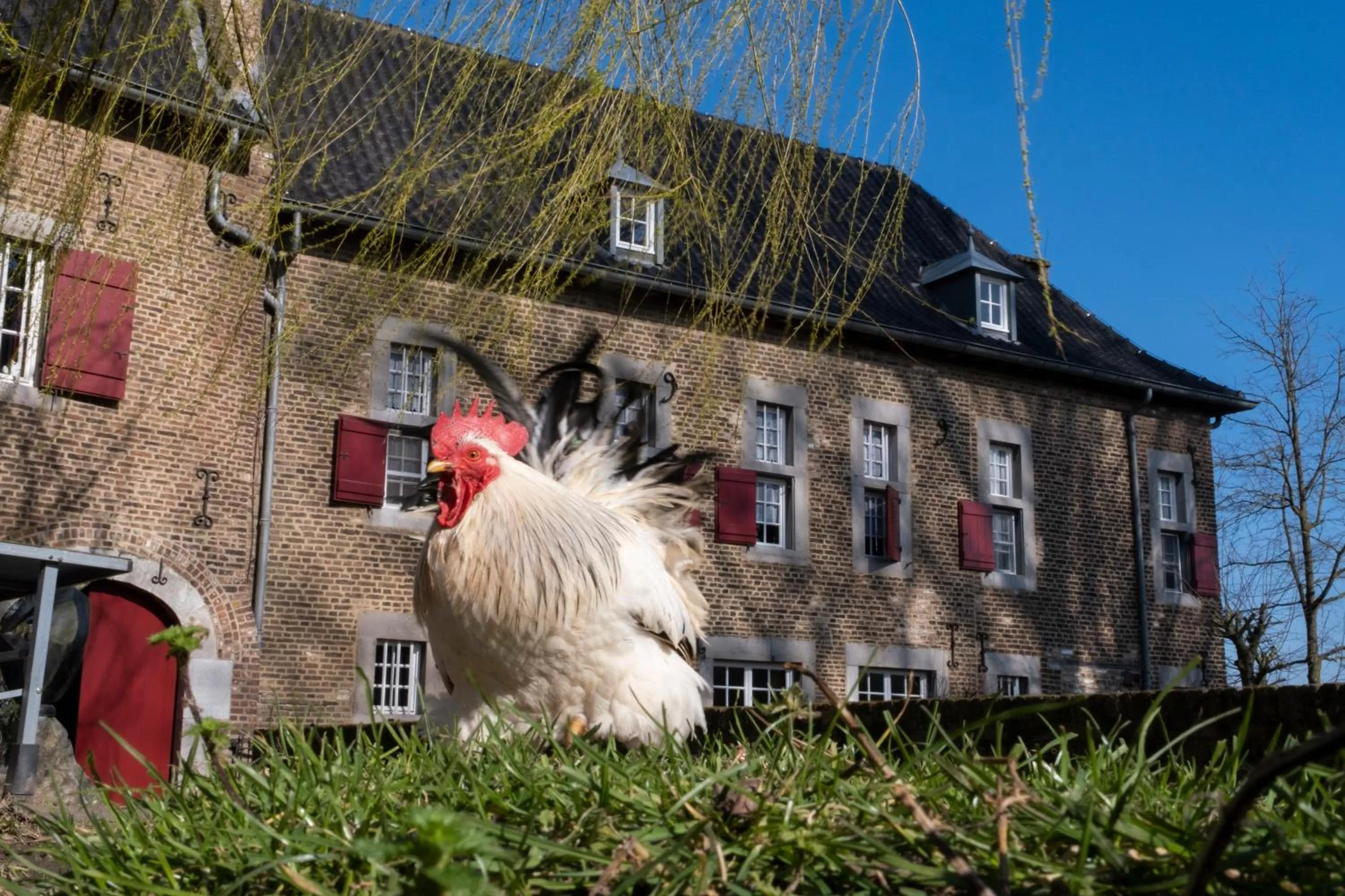 Property Building in Meschermolen, overnachten in de schuur