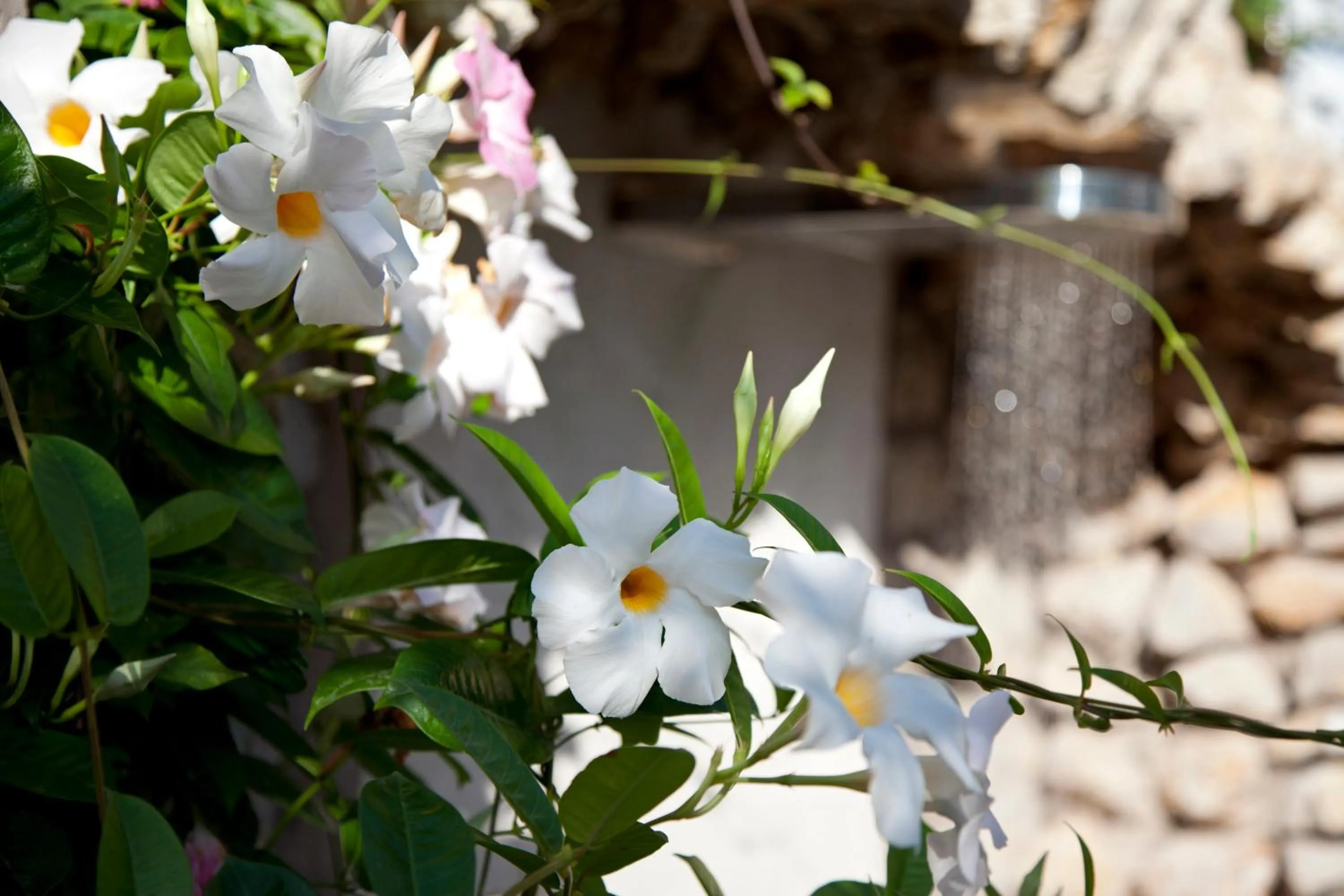 Other in Hotel La Floridiana